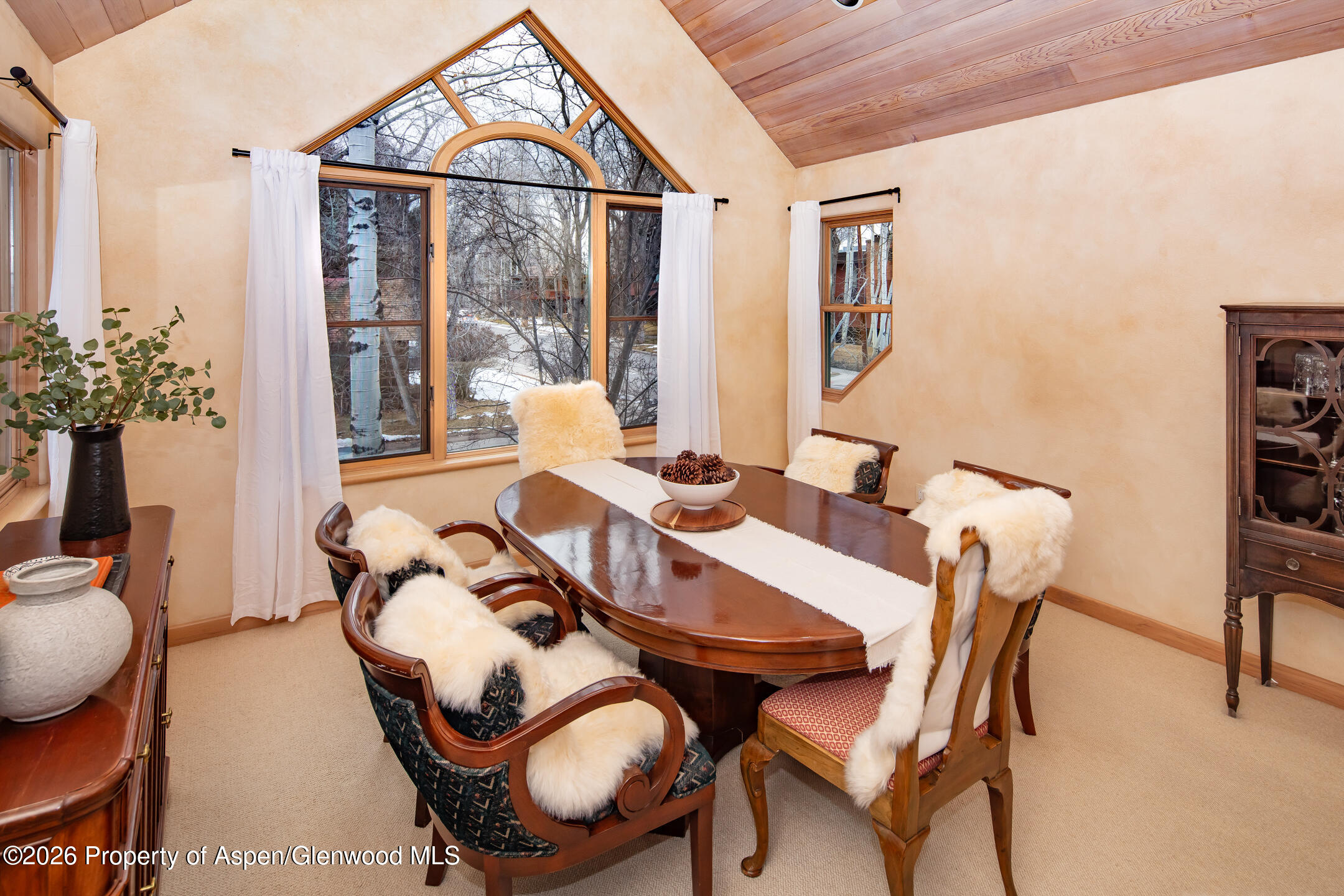 333 W Hopkins Avenue Aspen CO 81611