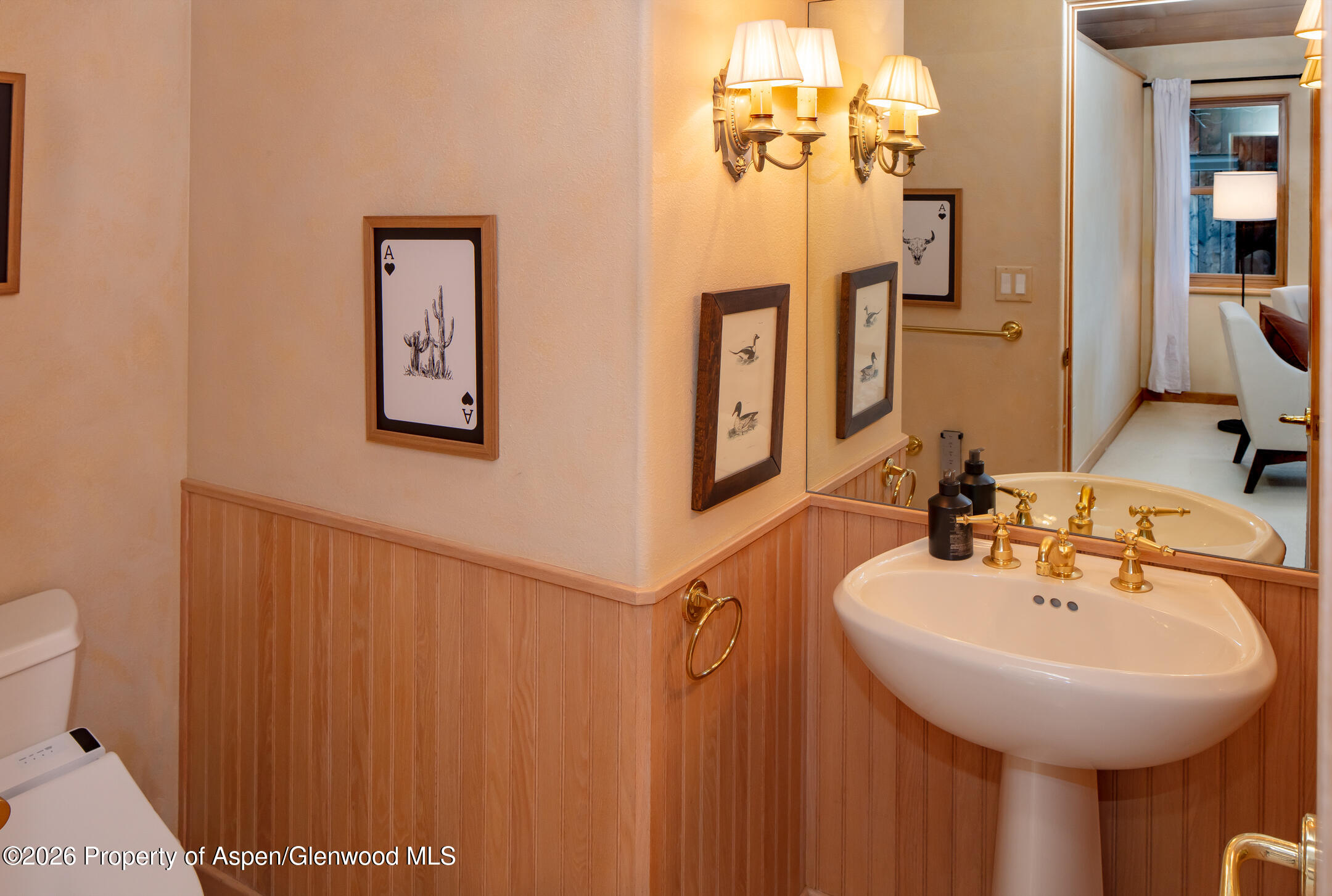 333 W Hopkins Avenue Aspen CO 81611