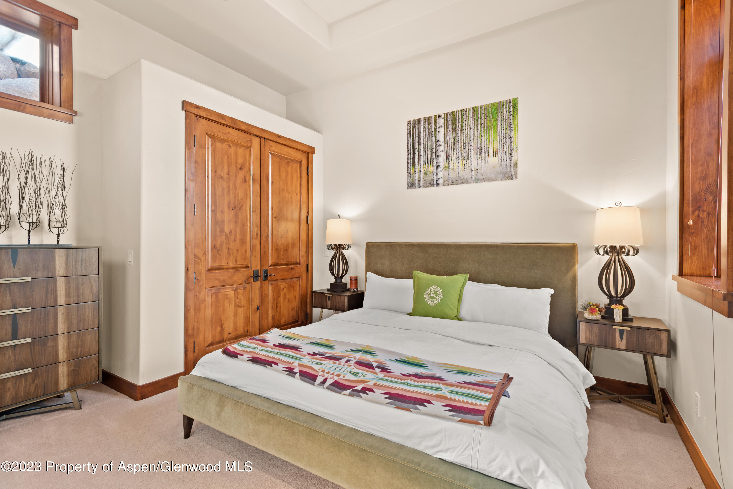 105 E Lupine Drive Aspen CO 81611