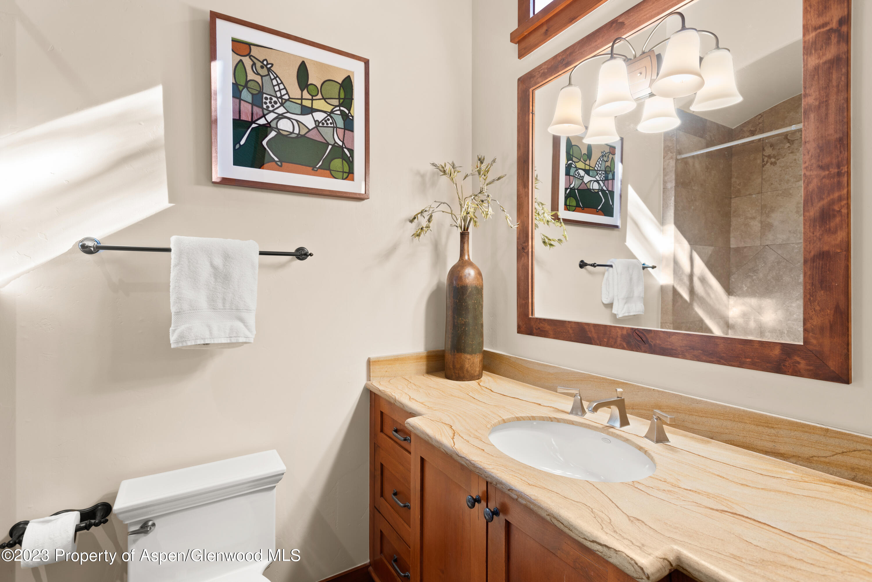 105 E Lupine Drive Aspen CO 81611