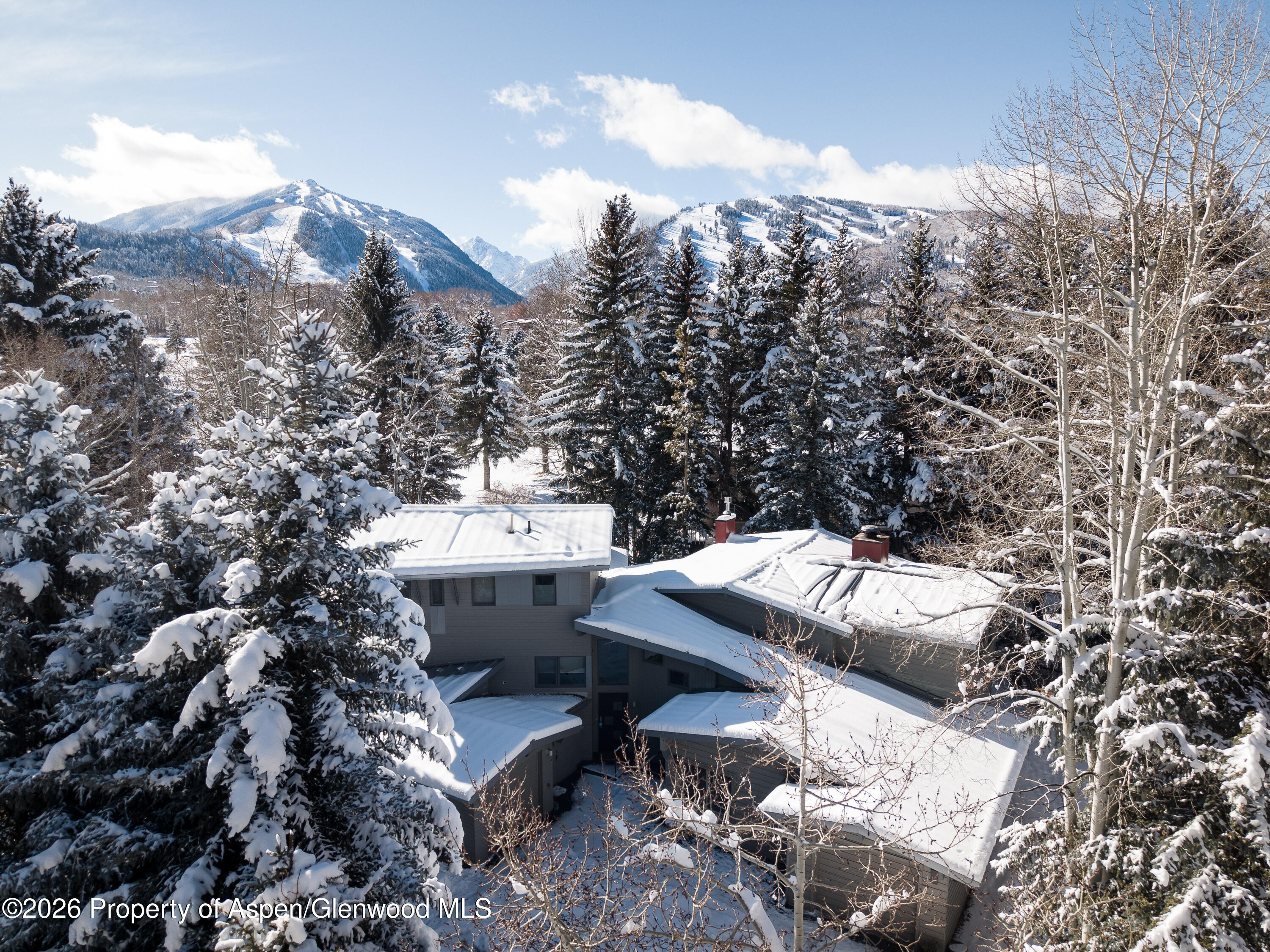 Aspen CO, 1445 Sierra Vista Drive, Unit Unit 2