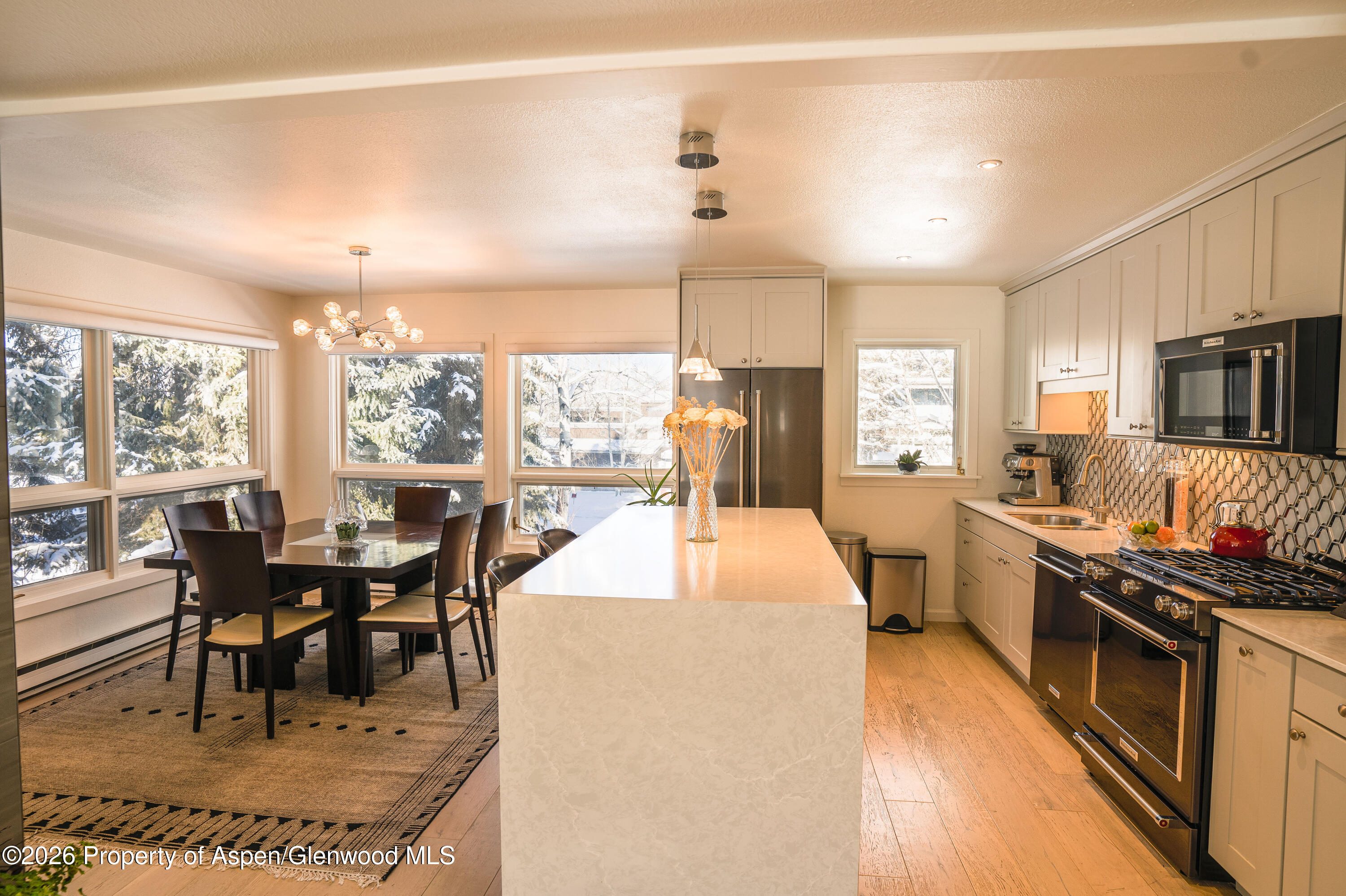 1445 Sierra Vista Drive Aspen CO 81611