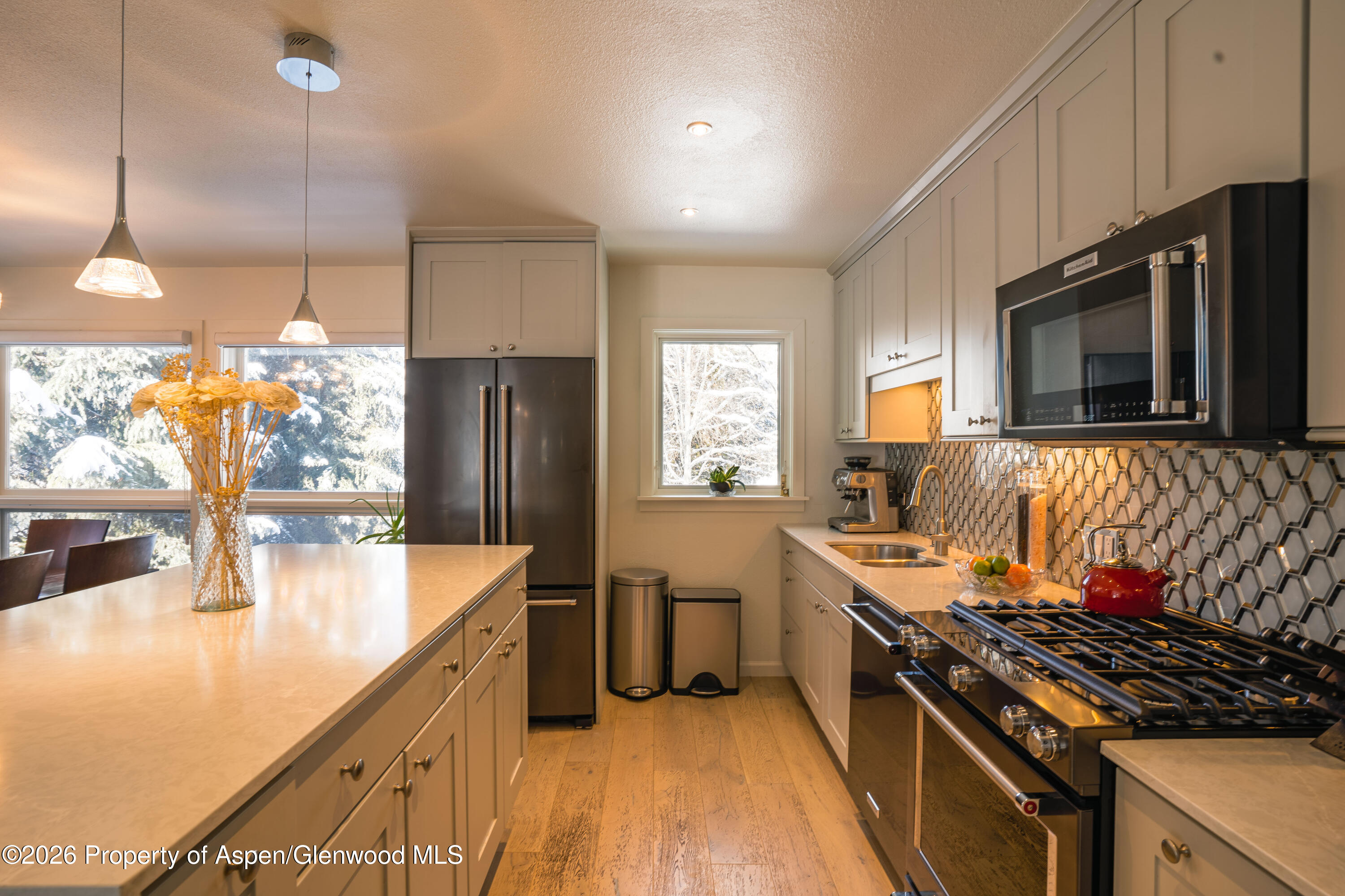 1445 Sierra Vista Drive Aspen CO 81611