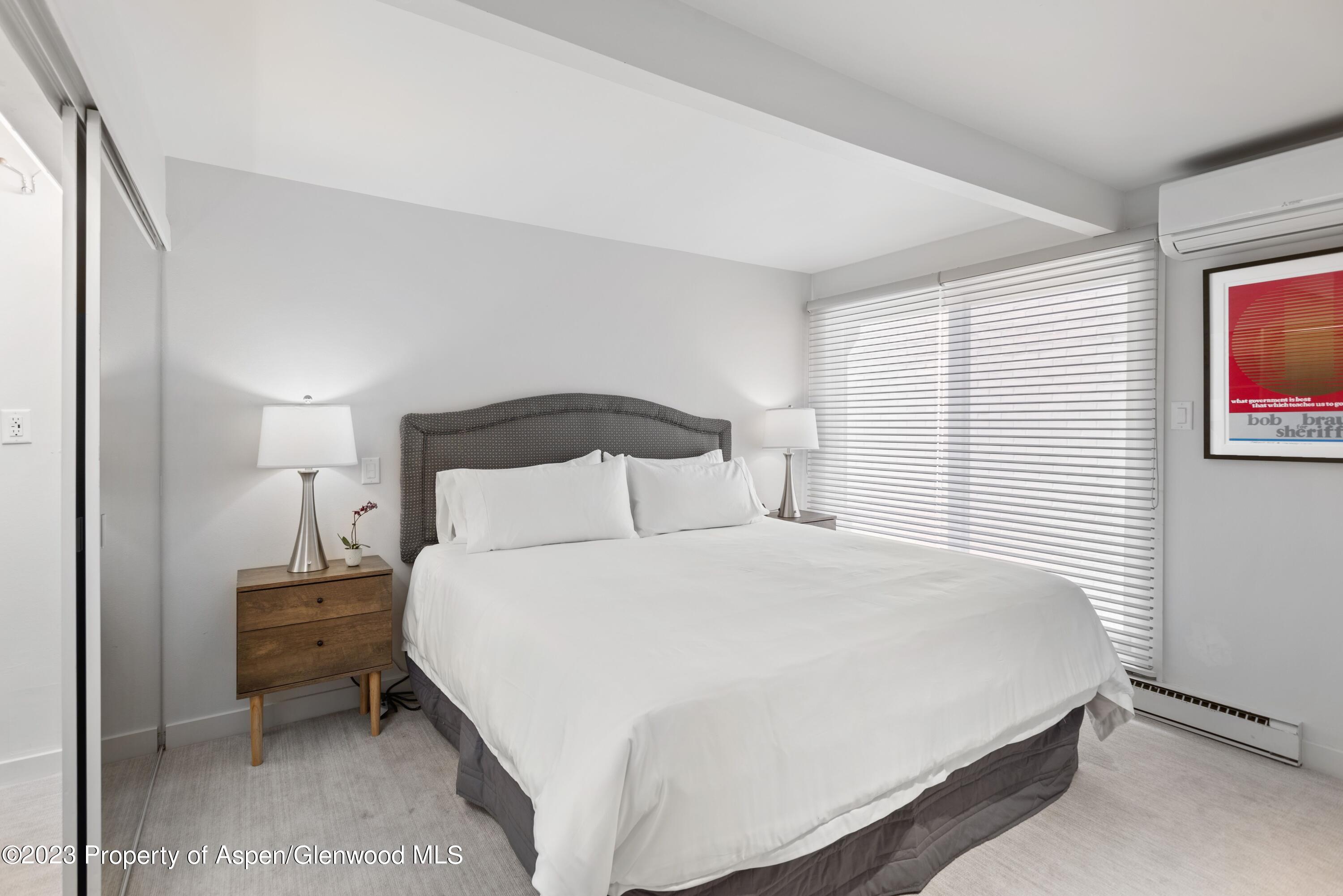 630 E Cooper Avenue Aspen CO 81611