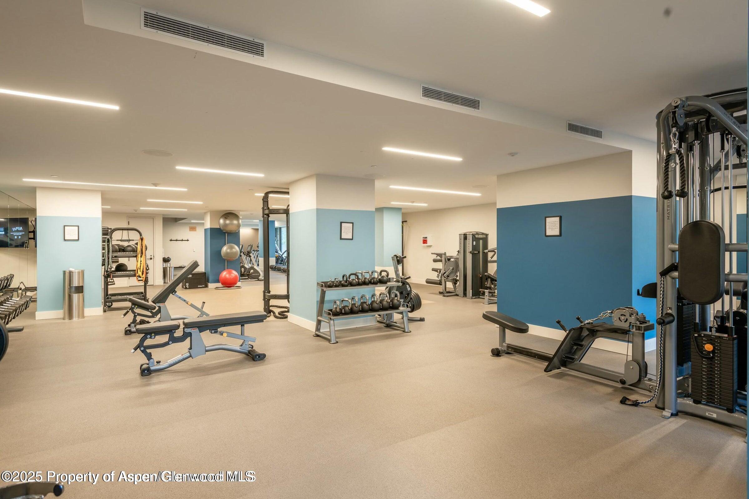 119 Wood Road Snowmass Village CO 81615