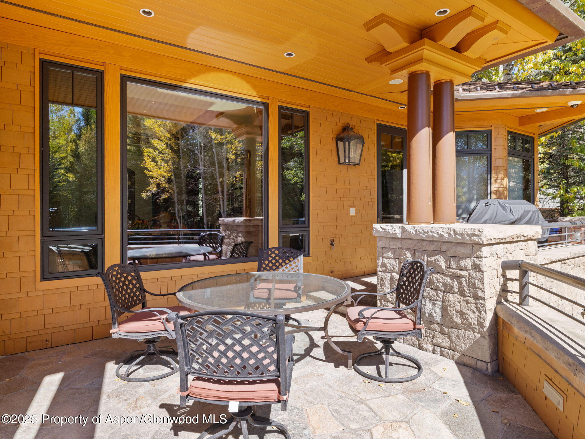 715 Willoughby Way Aspen CO 81611