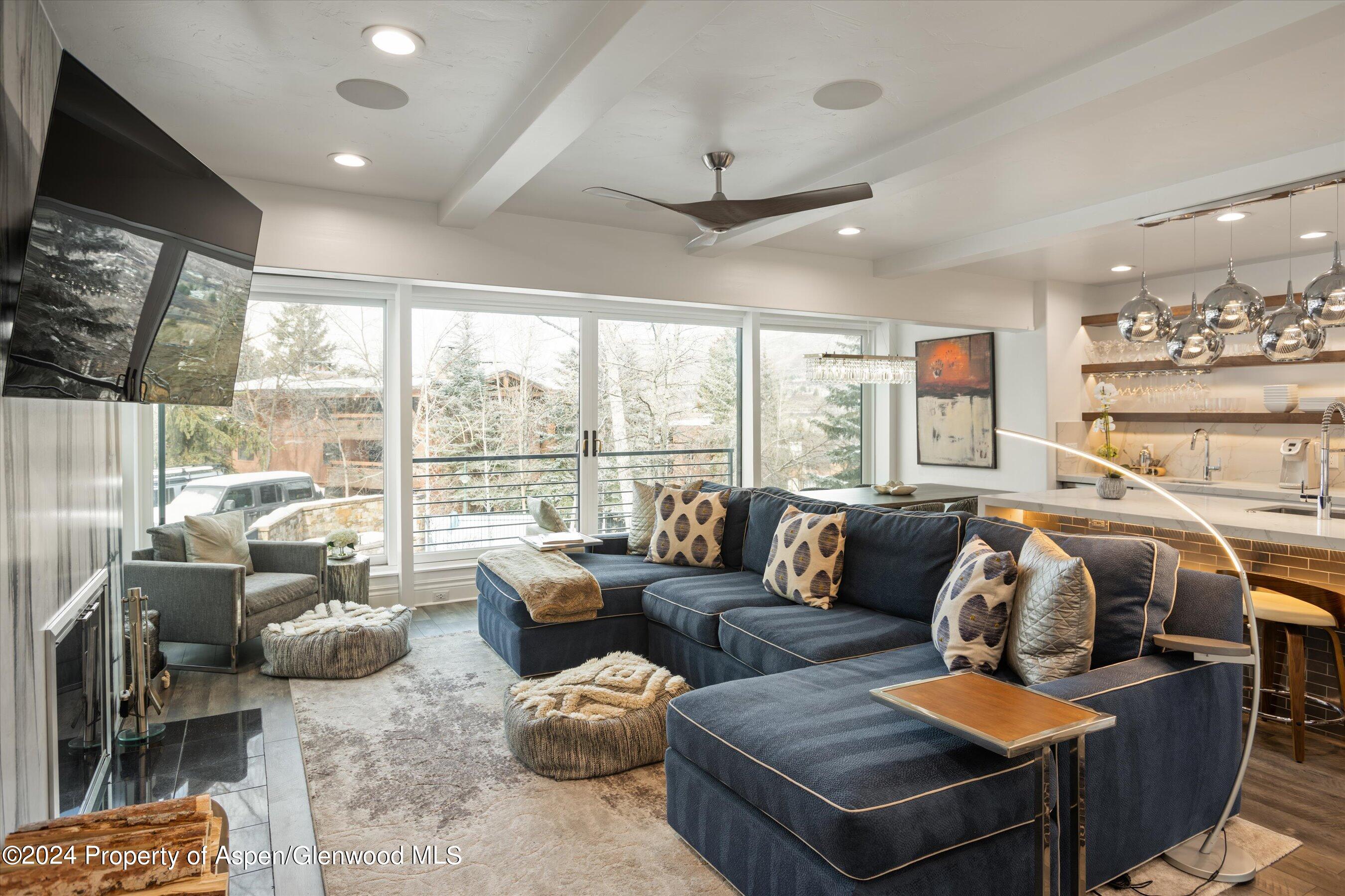 Aspen CO, 748 S Galena Street, Unit 2D