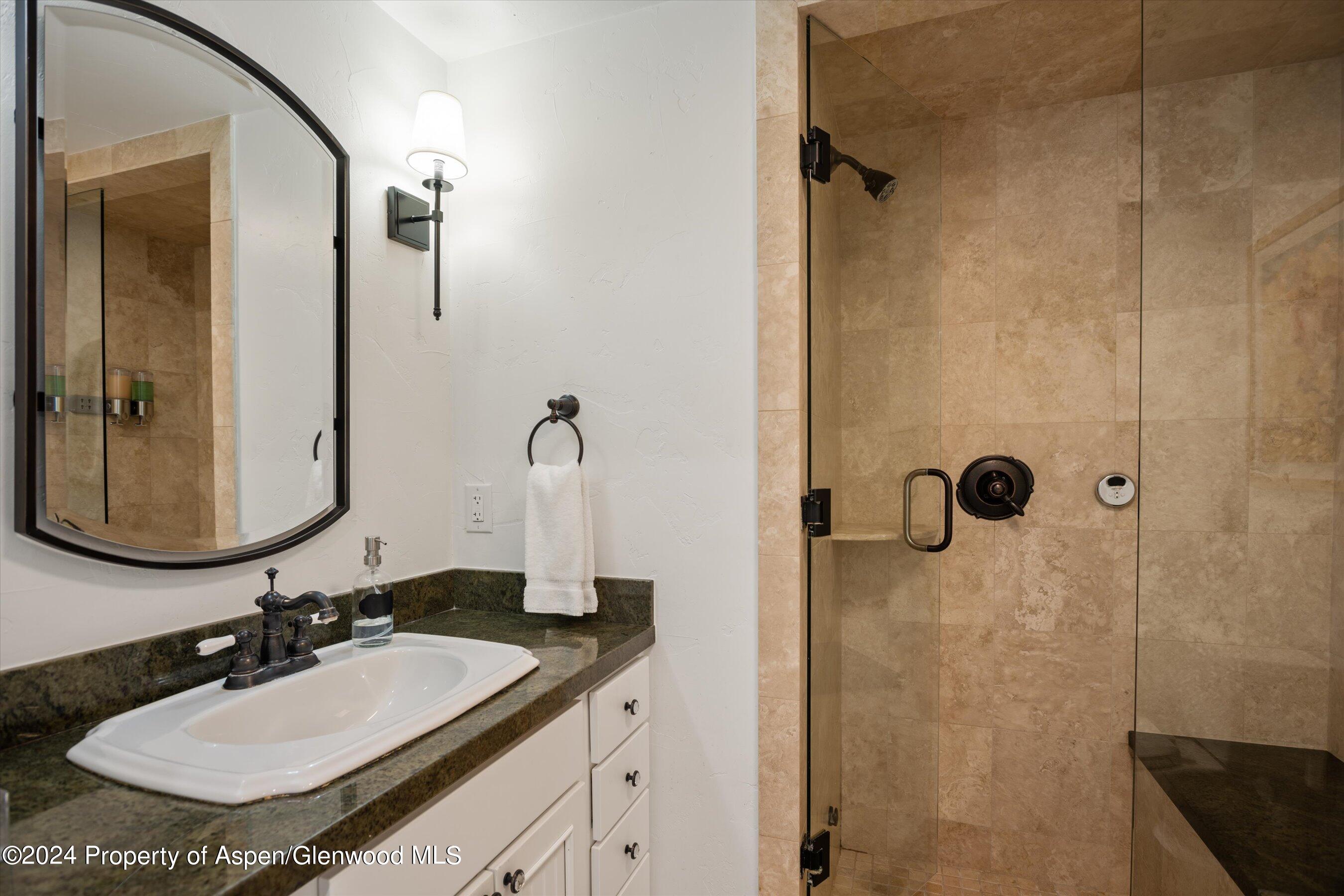 748 S Galena Street Aspen CO 81611