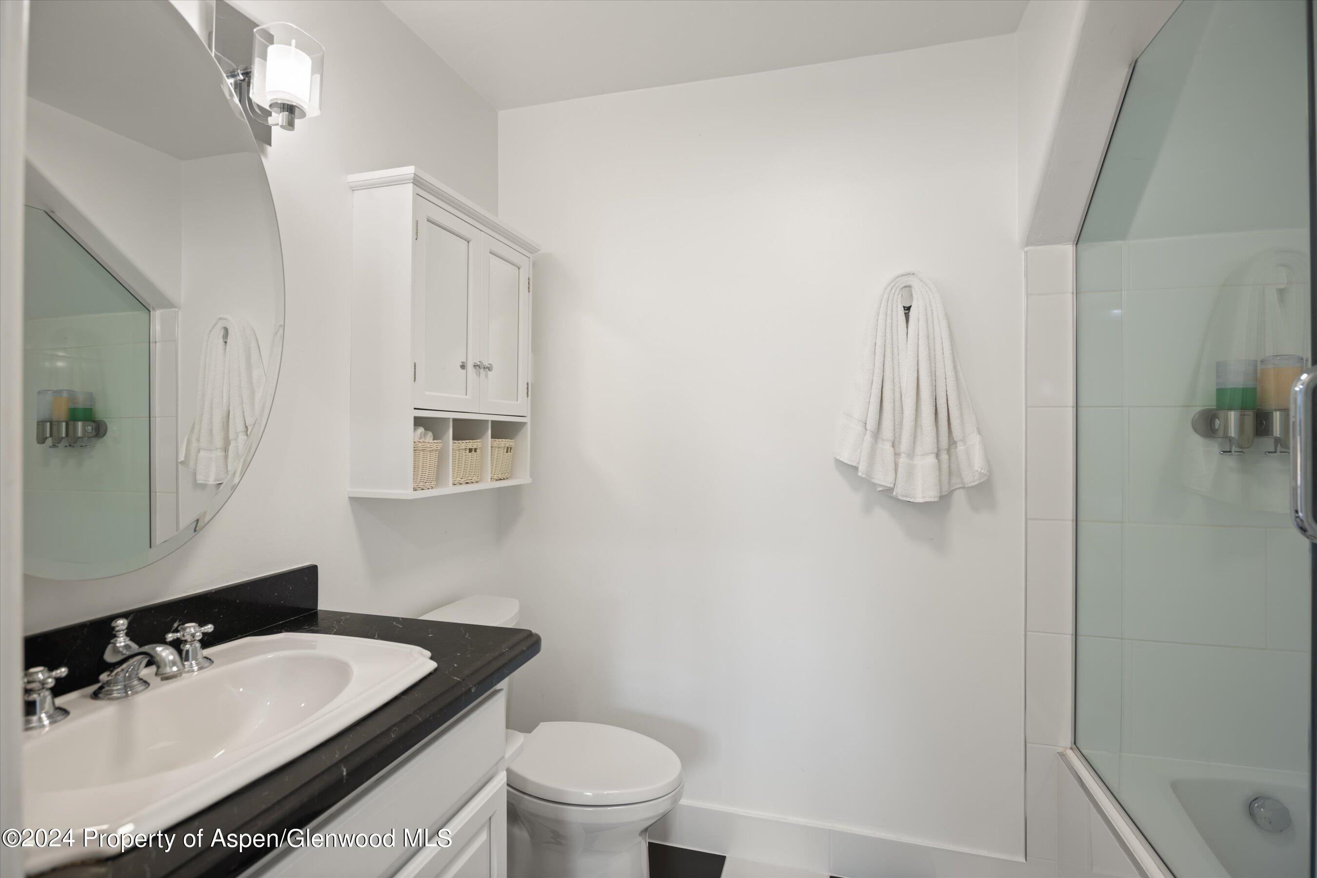 748 S Galena Street Aspen CO 81611
