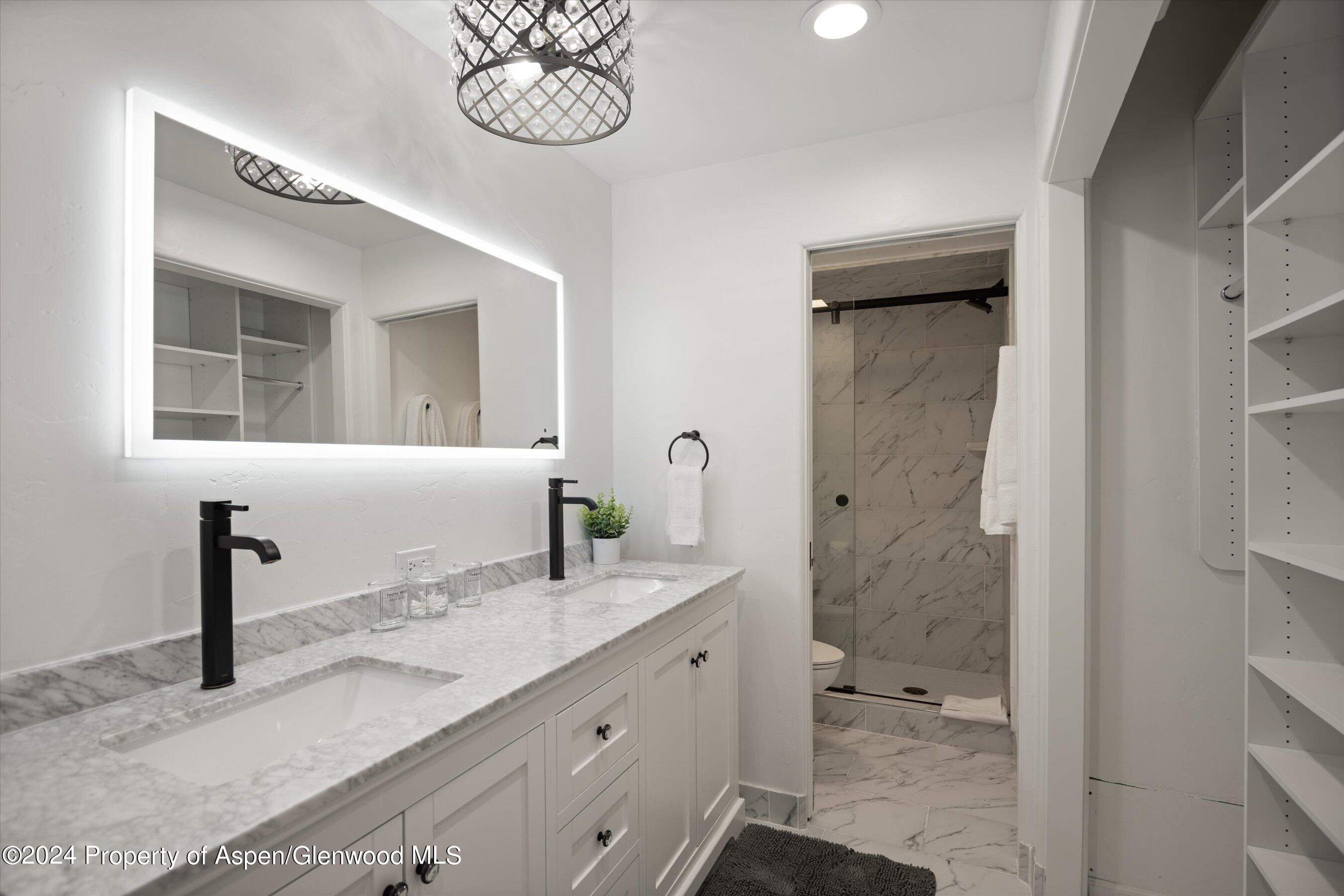 748 S Galena Street Aspen CO 81611
