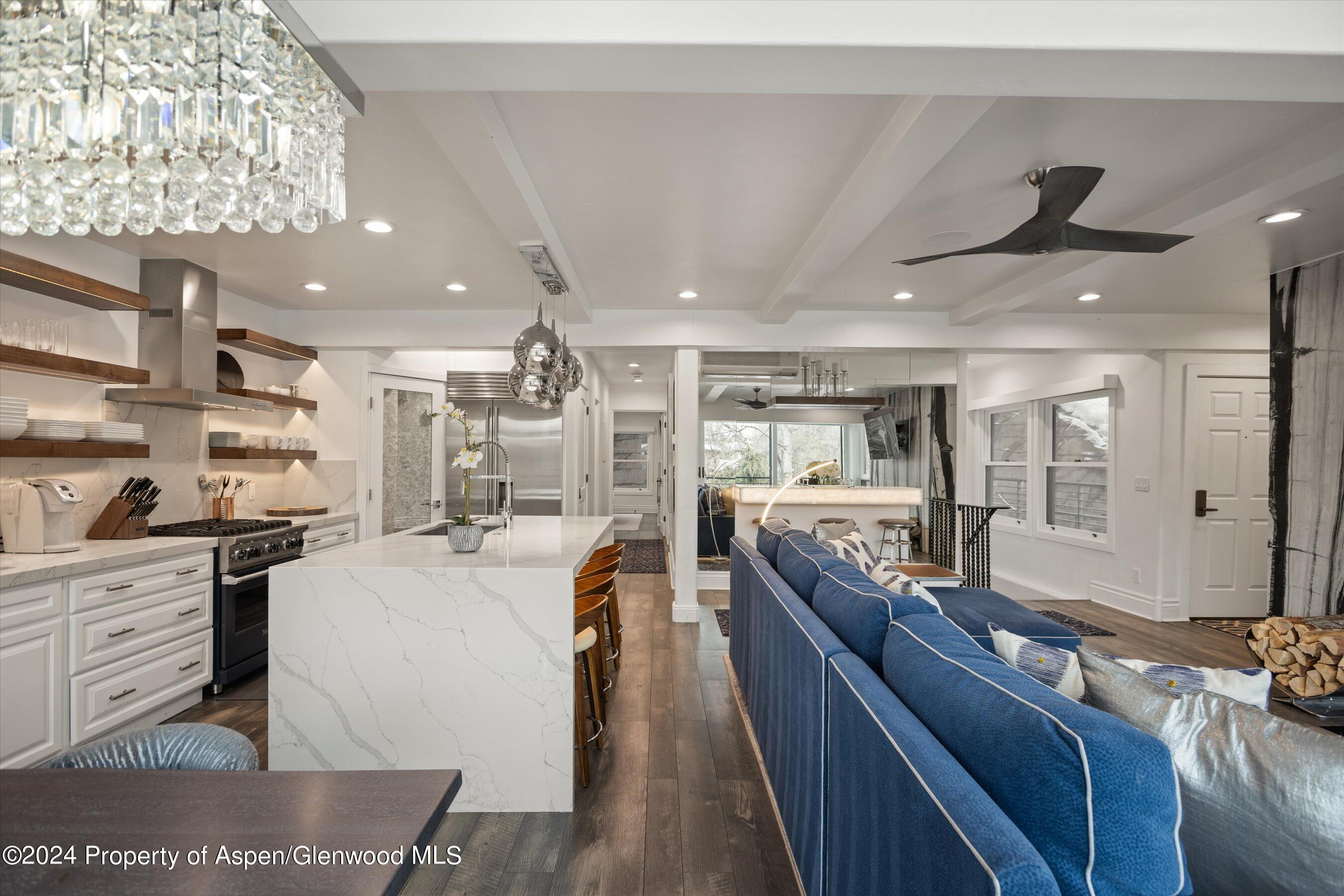 748 S Galena Street Aspen CO 81611