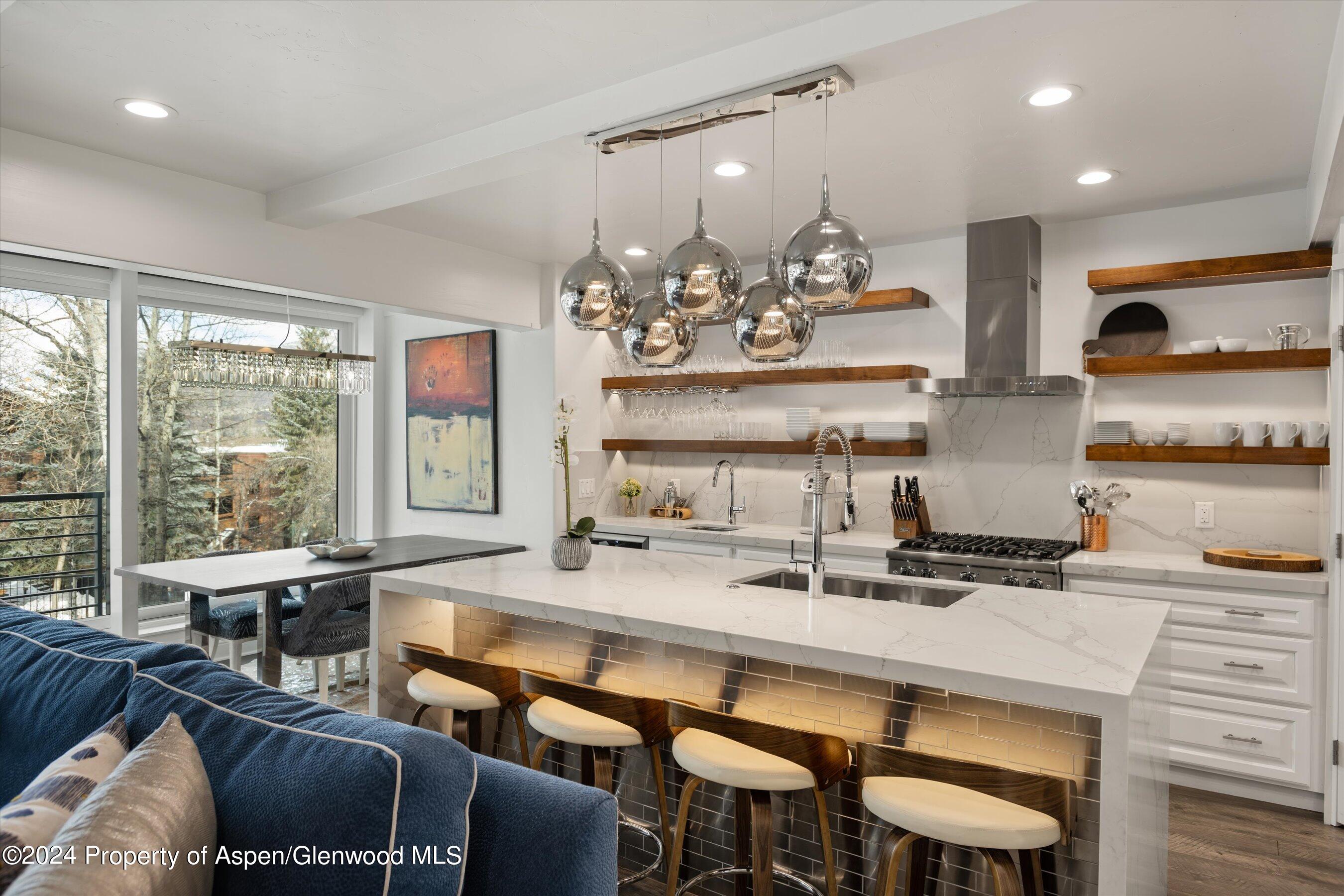 748 S Galena Street Aspen CO 81611