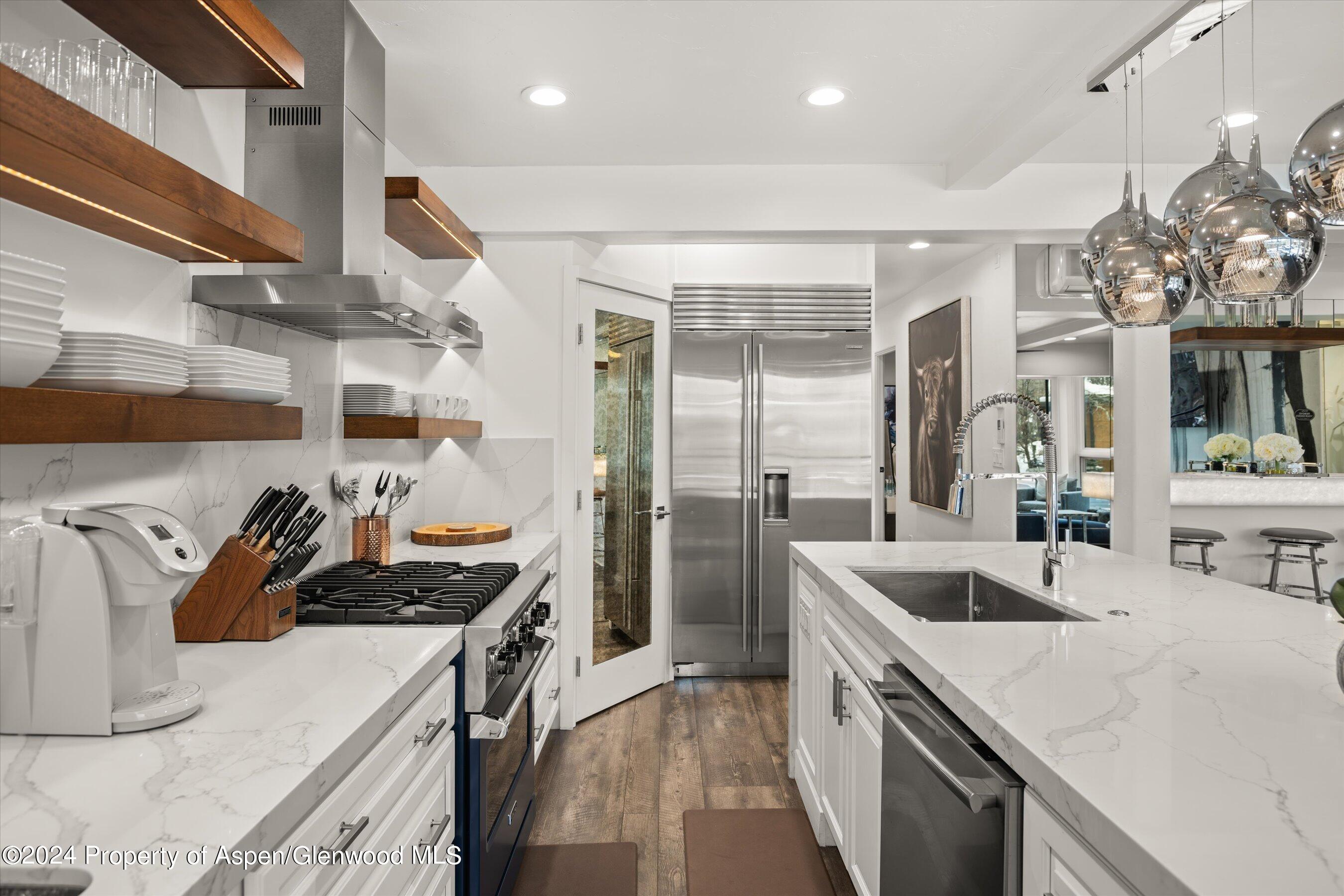 748 S Galena Street Aspen CO 81611