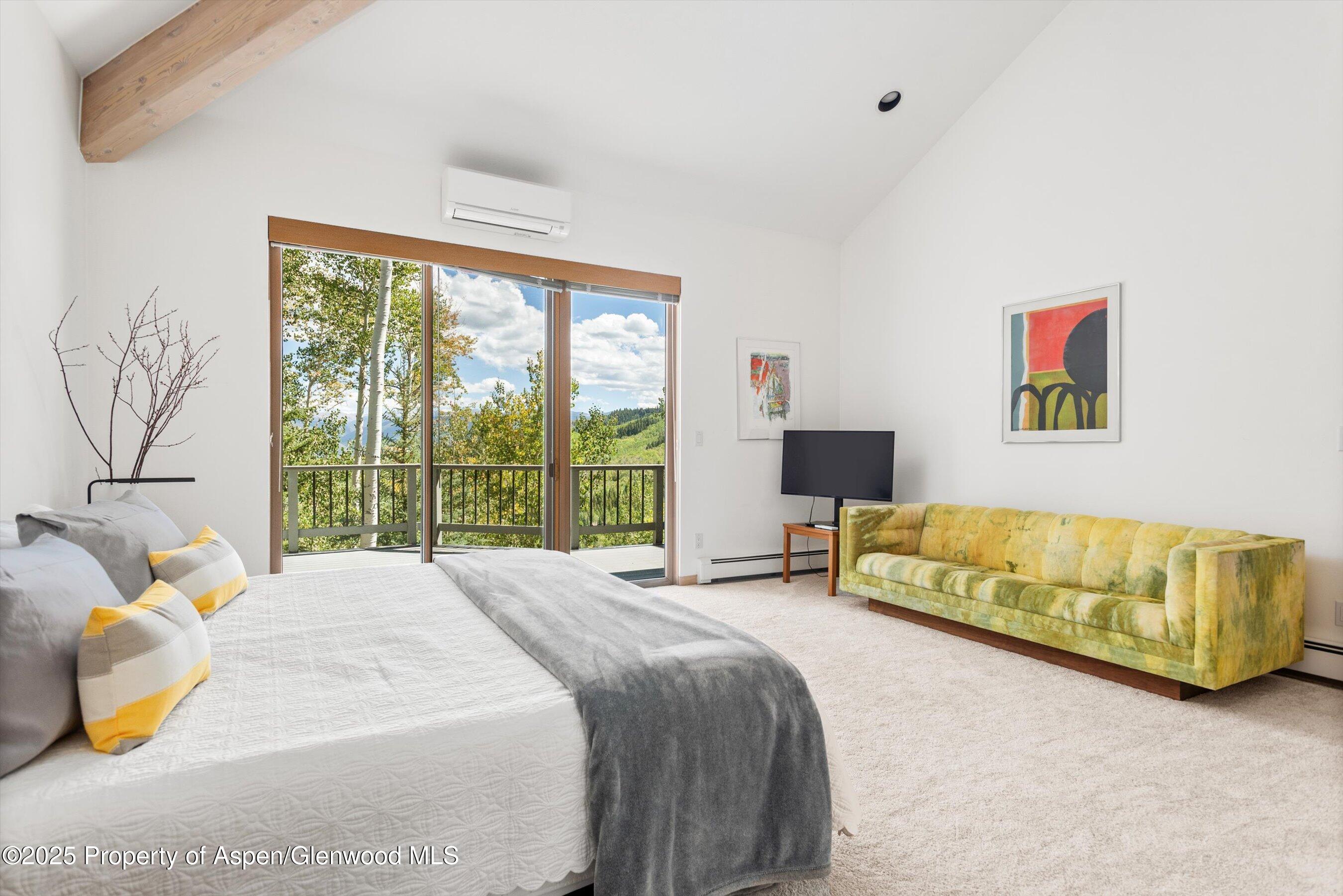 64 Ermine Lane Snowmass Village CO 81615