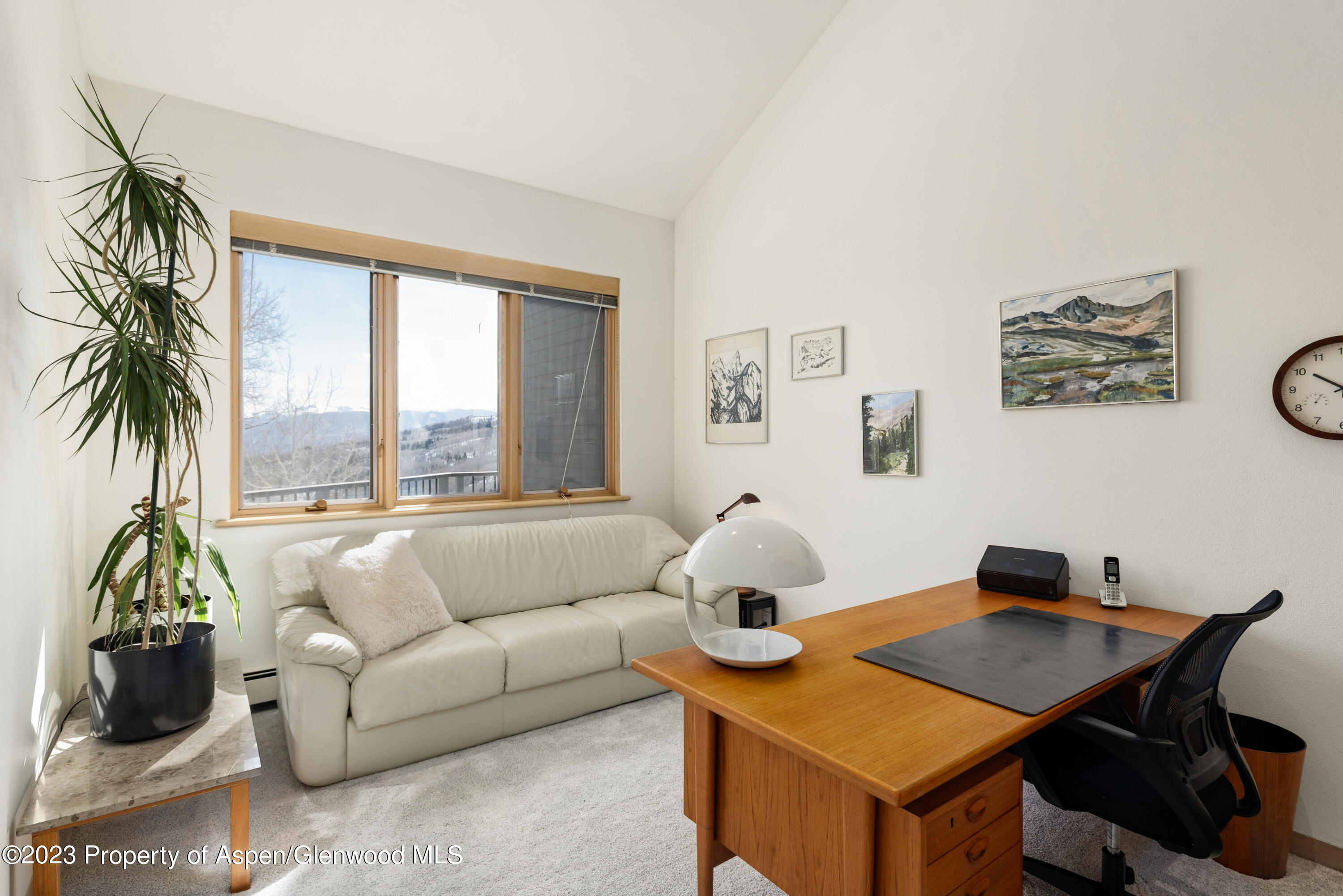 64 Ermine Lane Snowmass Village CO 81615