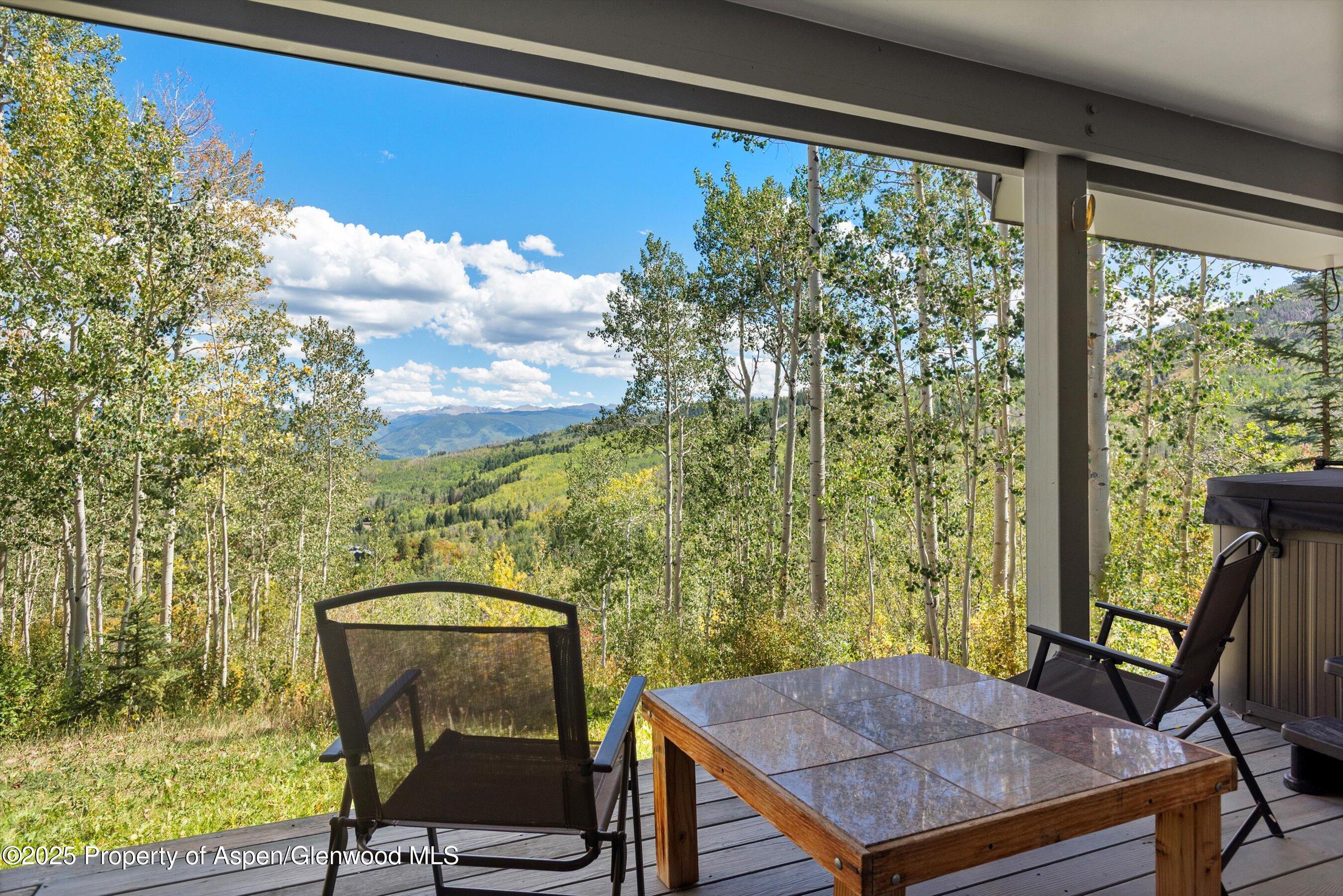 64 Ermine Lane Snowmass Village CO 81615