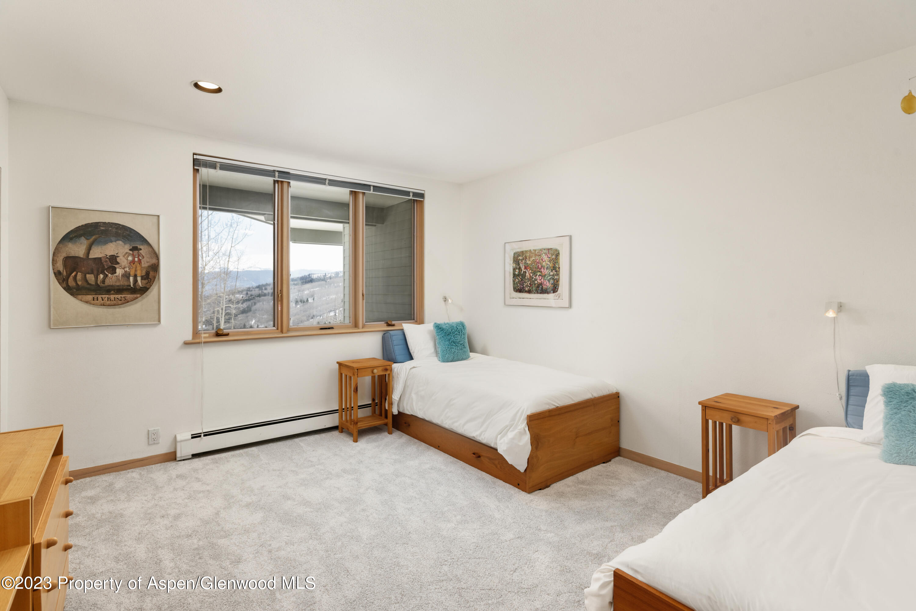 64 Ermine Lane Snowmass Village CO 81615