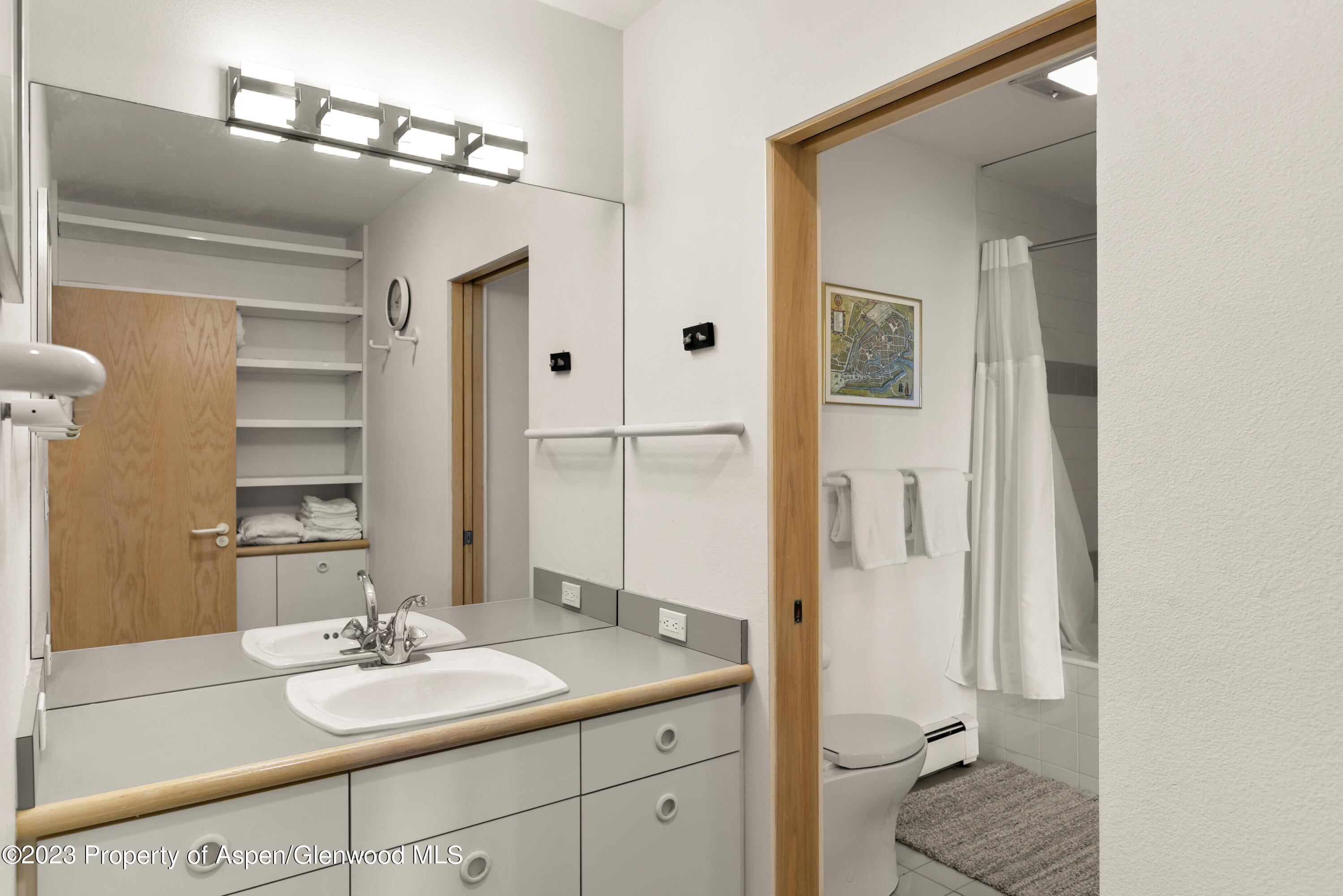 64 Ermine Lane Snowmass Village CO 81615