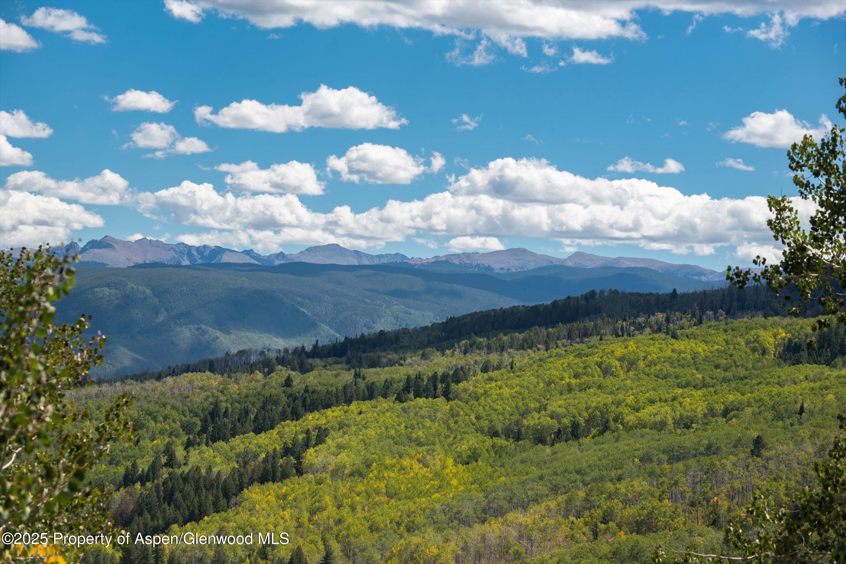 64 Ermine Lane Snowmass Village CO 81615