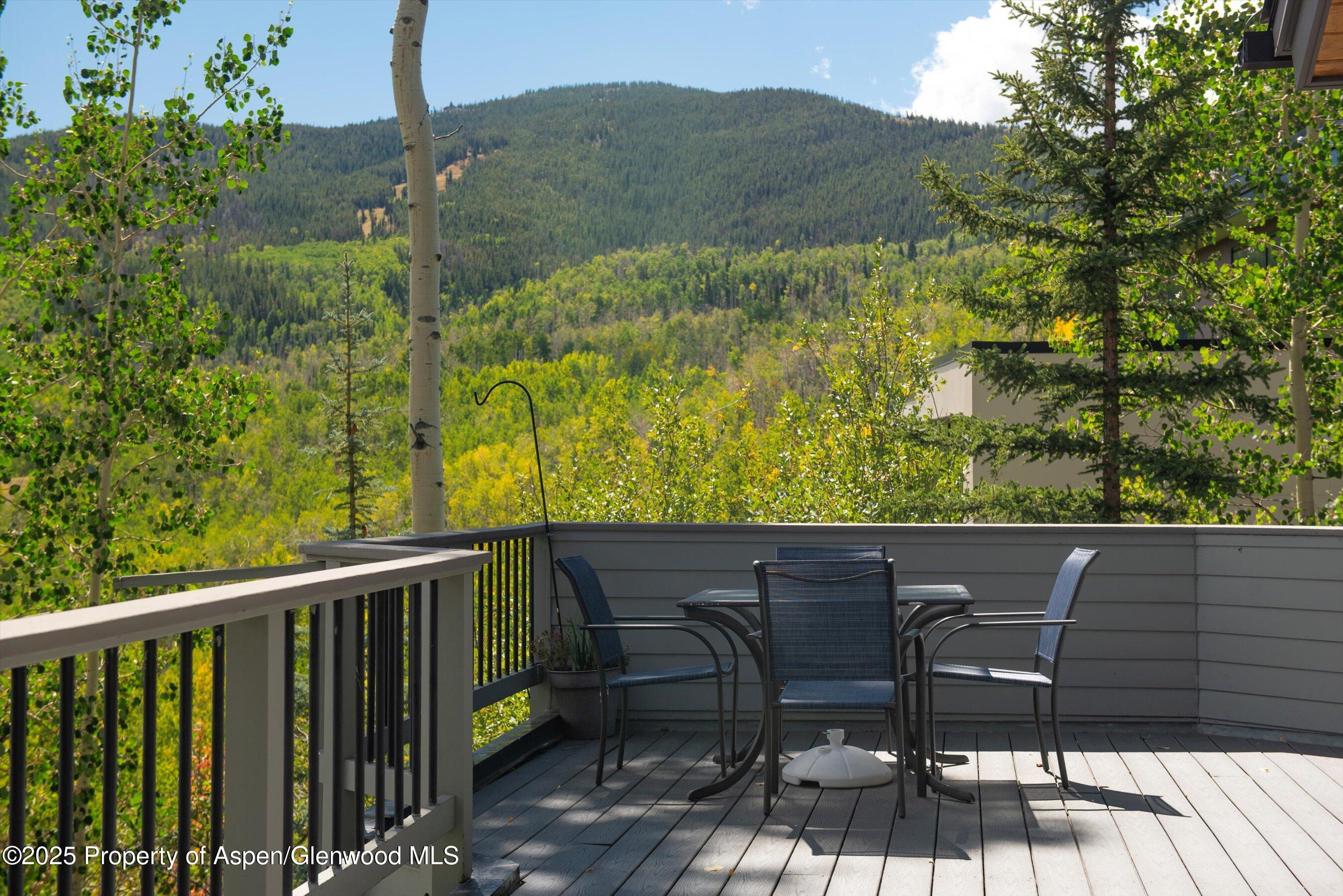 64 Ermine Lane Snowmass Village CO 81615