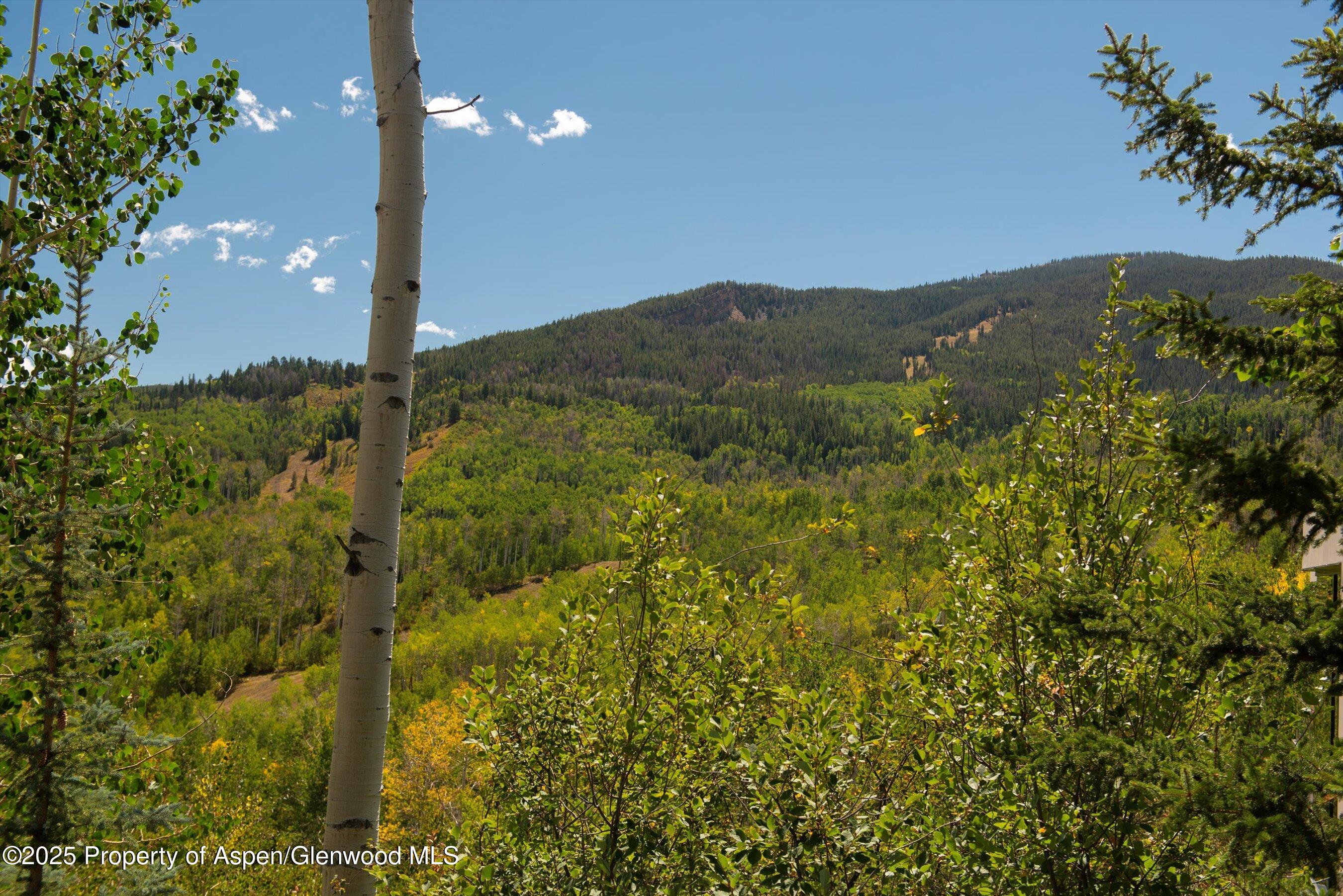 64 Ermine Lane Snowmass Village CO 81615