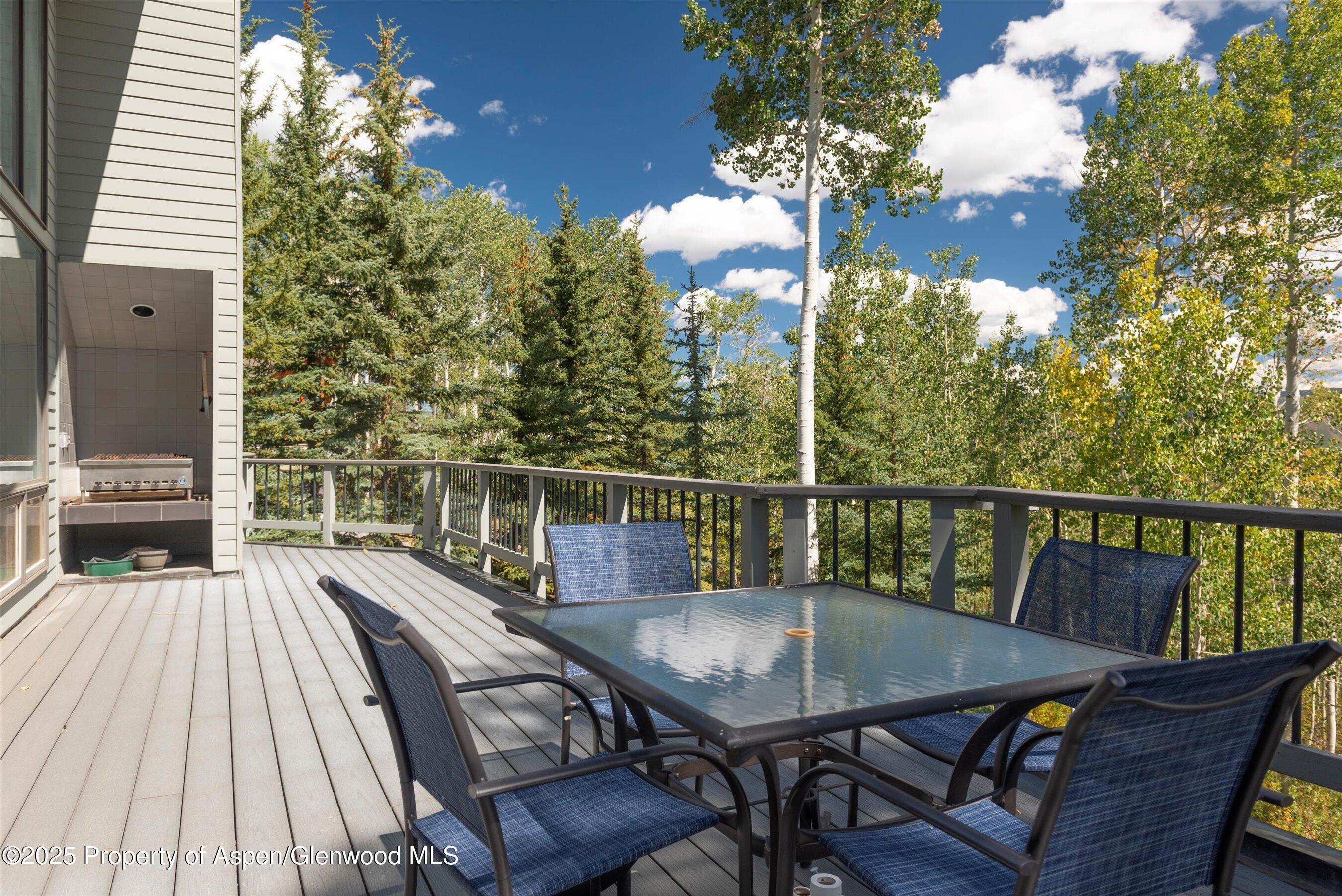 64 Ermine Lane Snowmass Village CO 81615