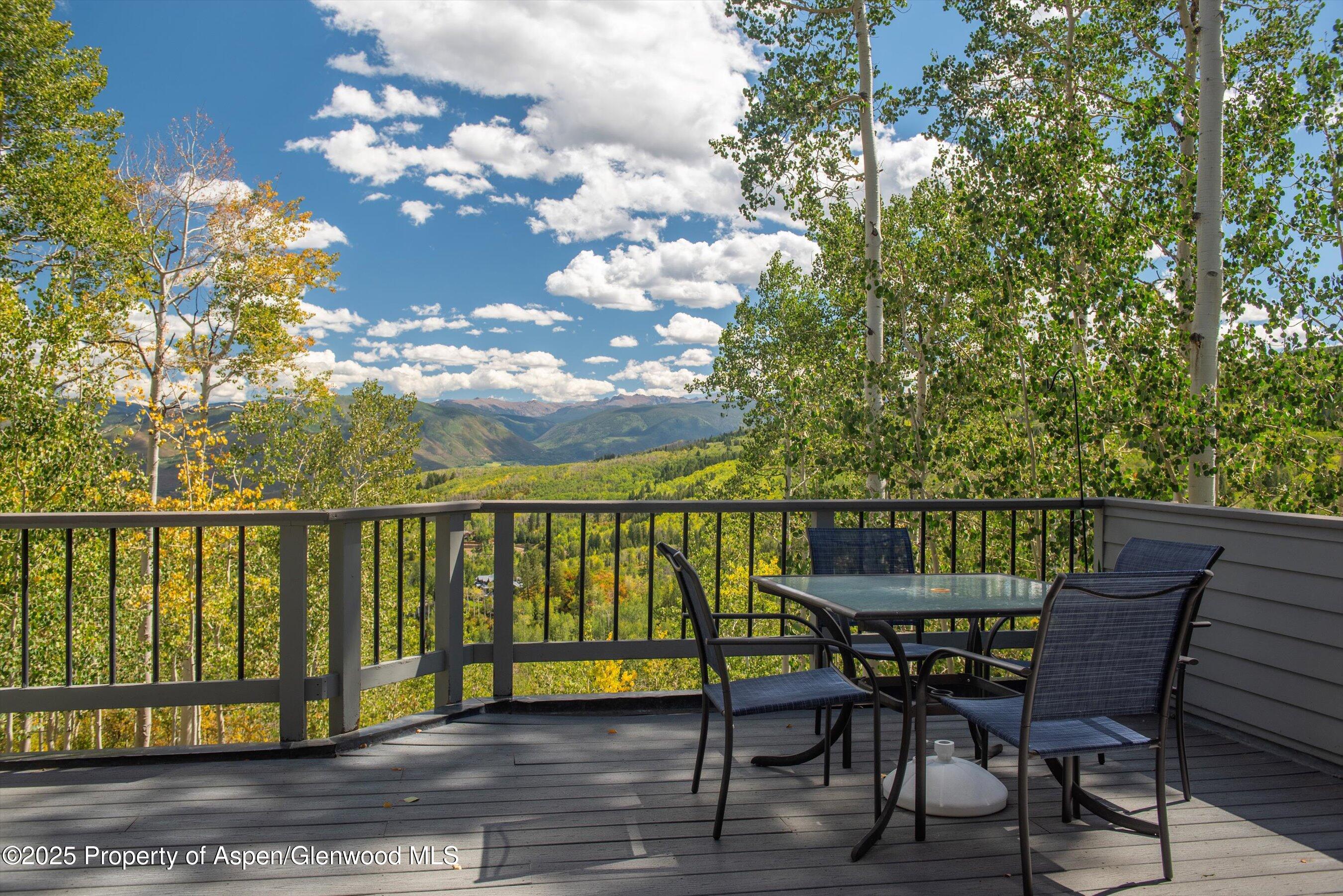 64 Ermine Lane Snowmass Village CO 81615