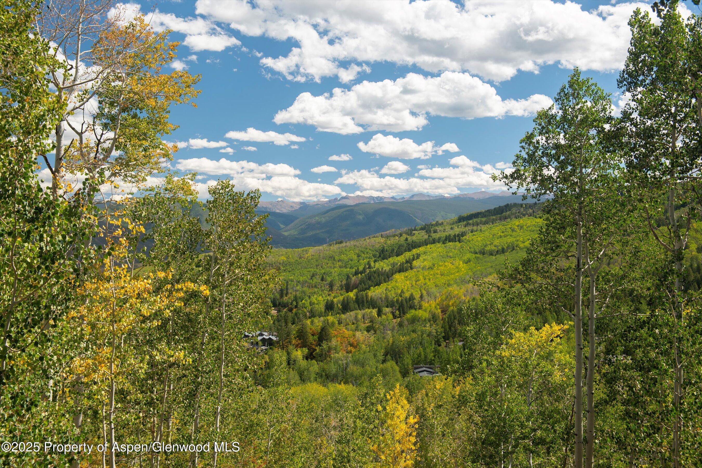 64 Ermine Lane Snowmass Village CO 81615
