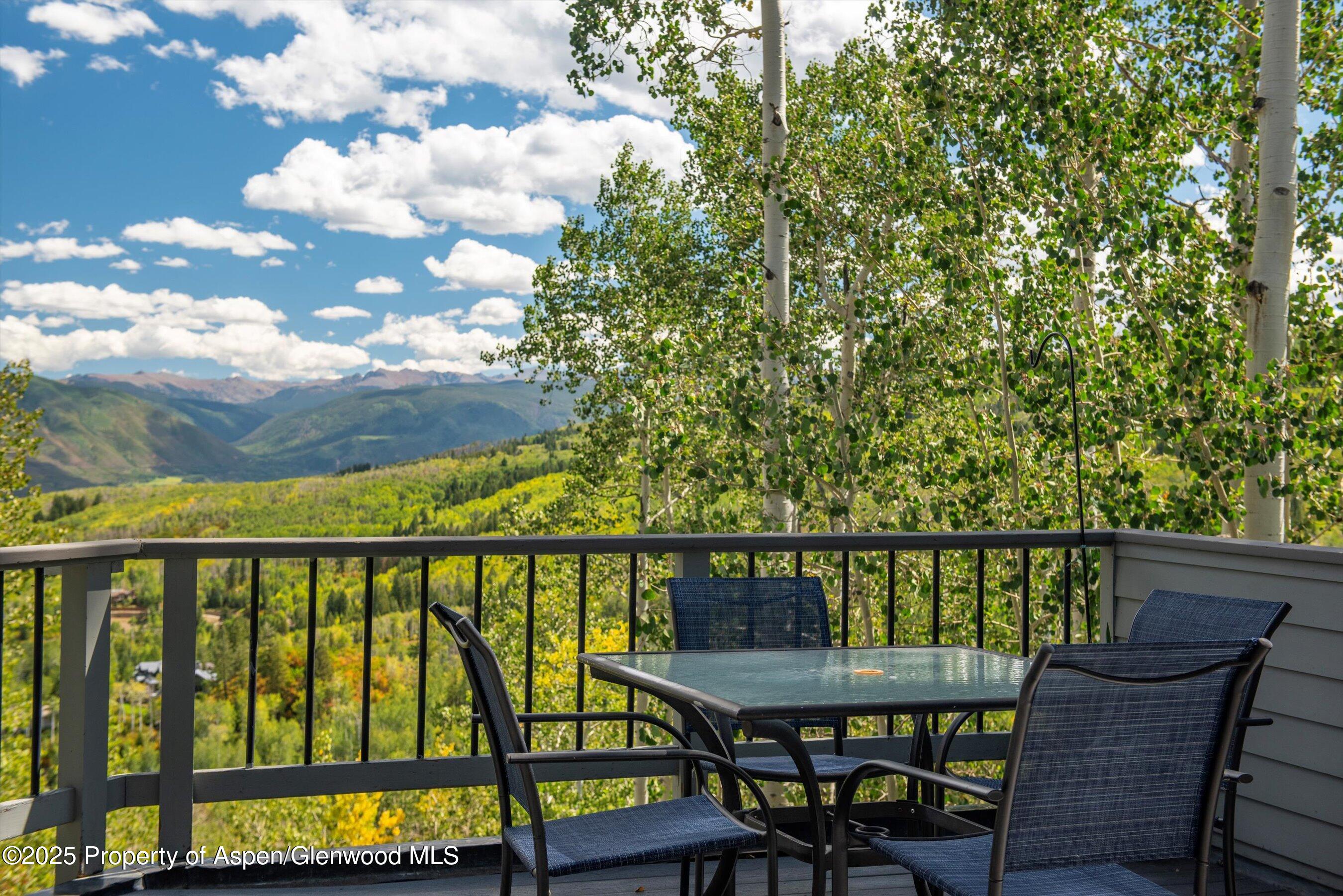 64 Ermine Lane Snowmass Village CO 81615