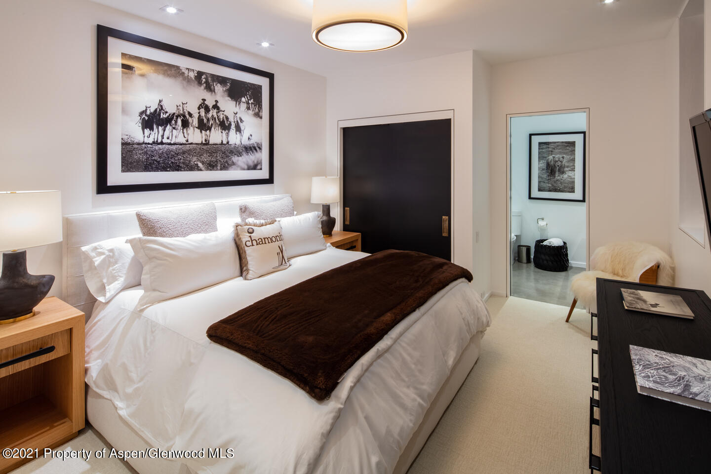 1635 Silver King Drive Aspen CO 81611