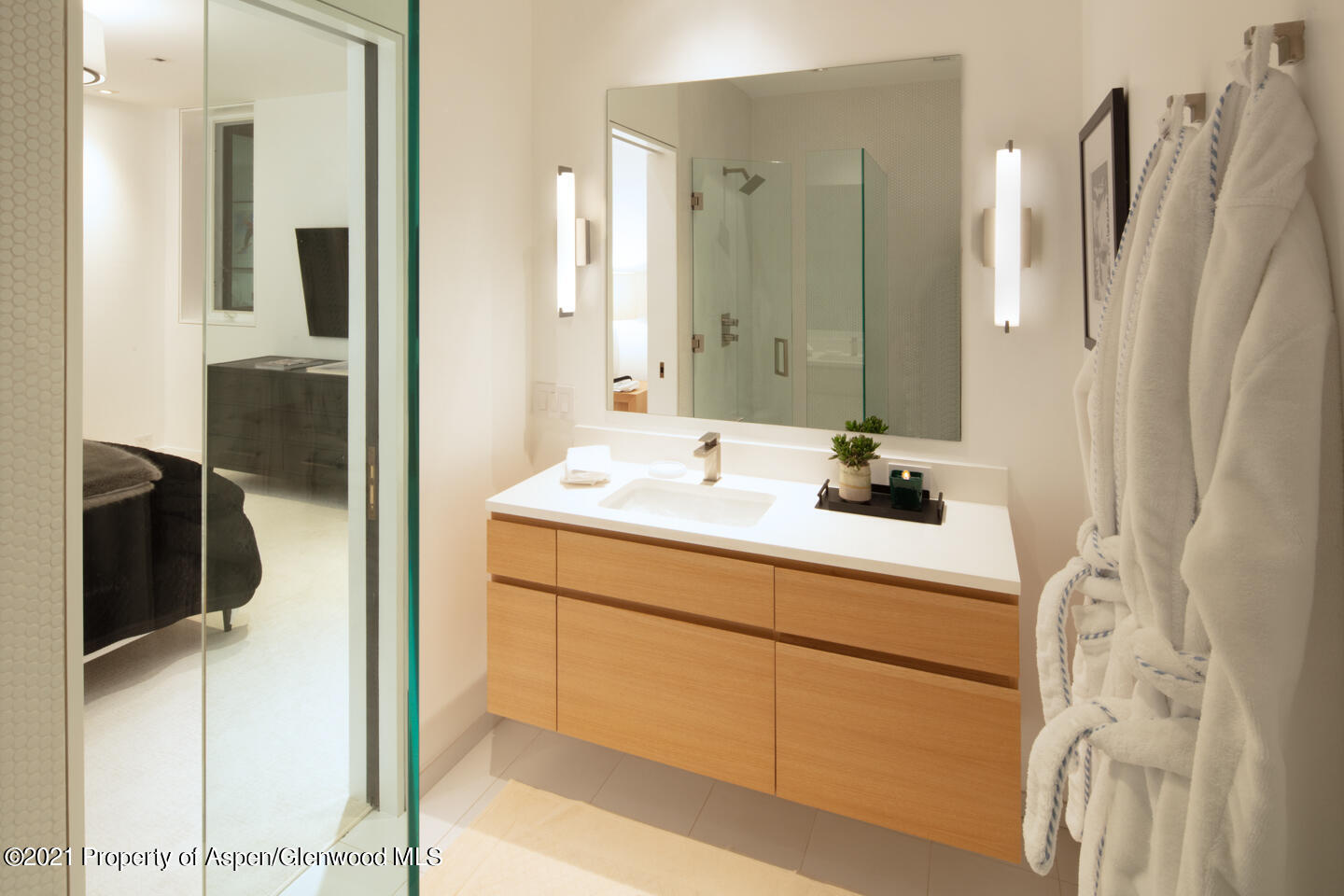 1635 Silver King Drive Aspen CO 81611