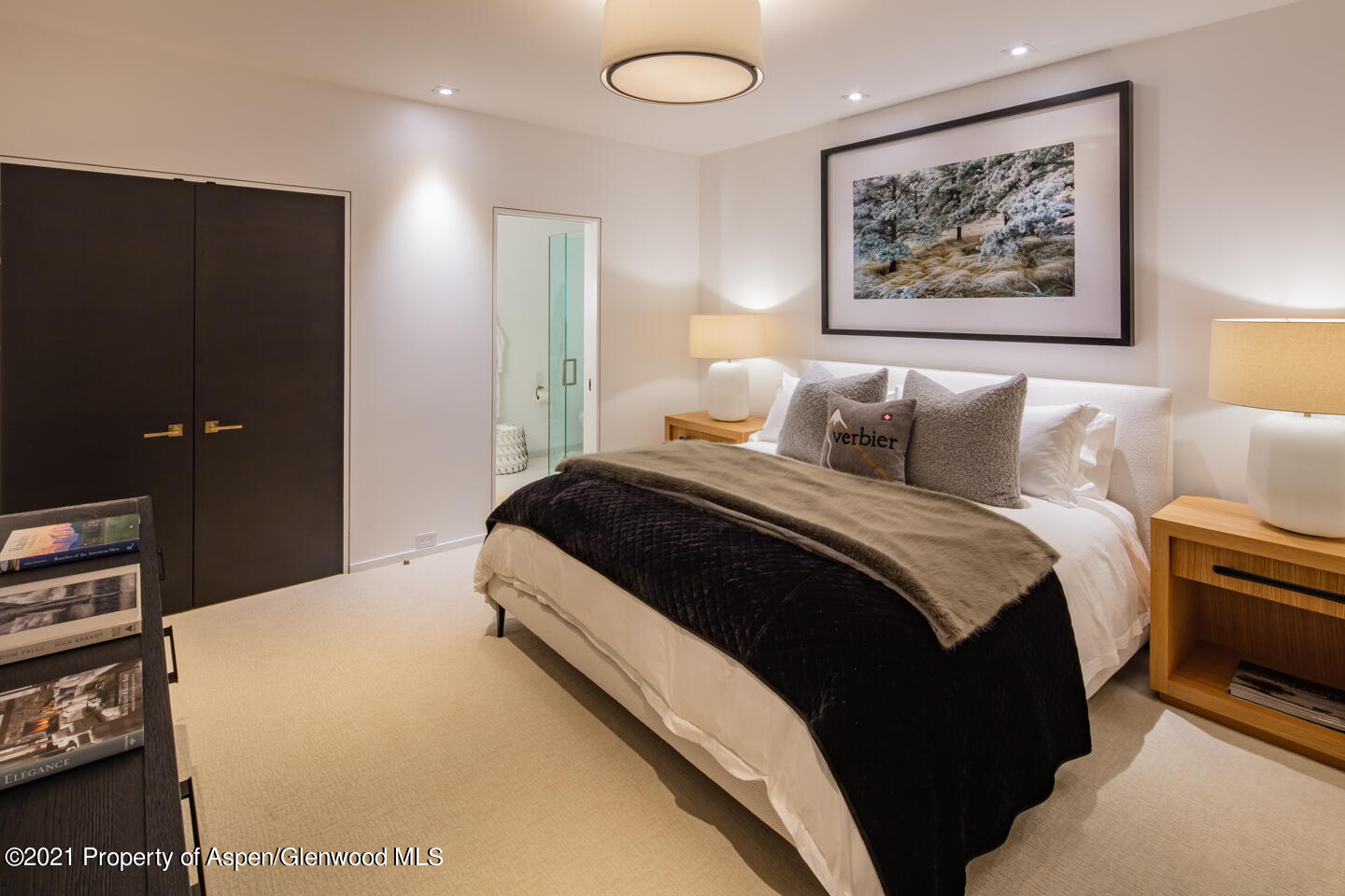 1635 Silver King Drive Aspen CO 81611