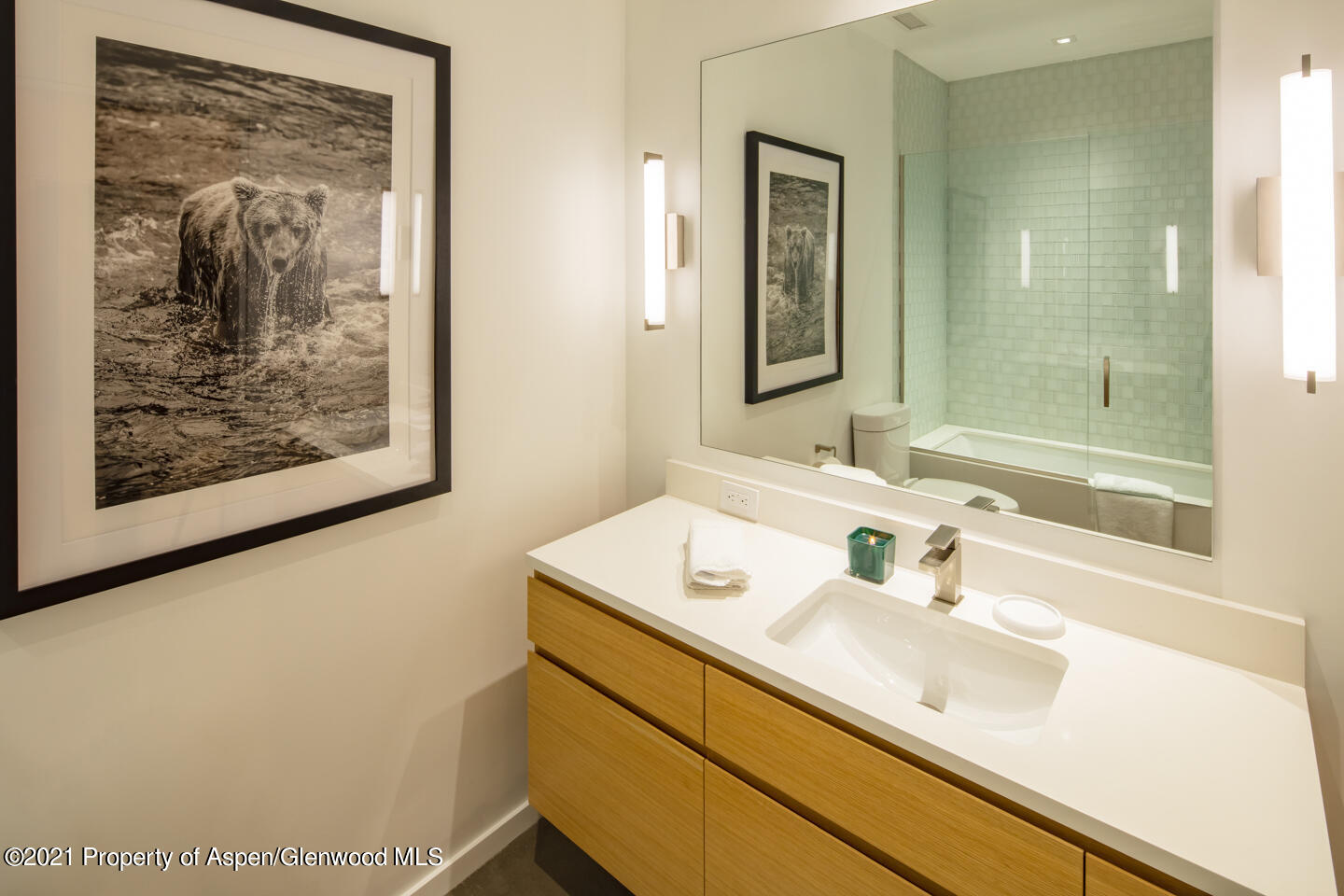 1635 Silver King Drive Aspen CO 81611