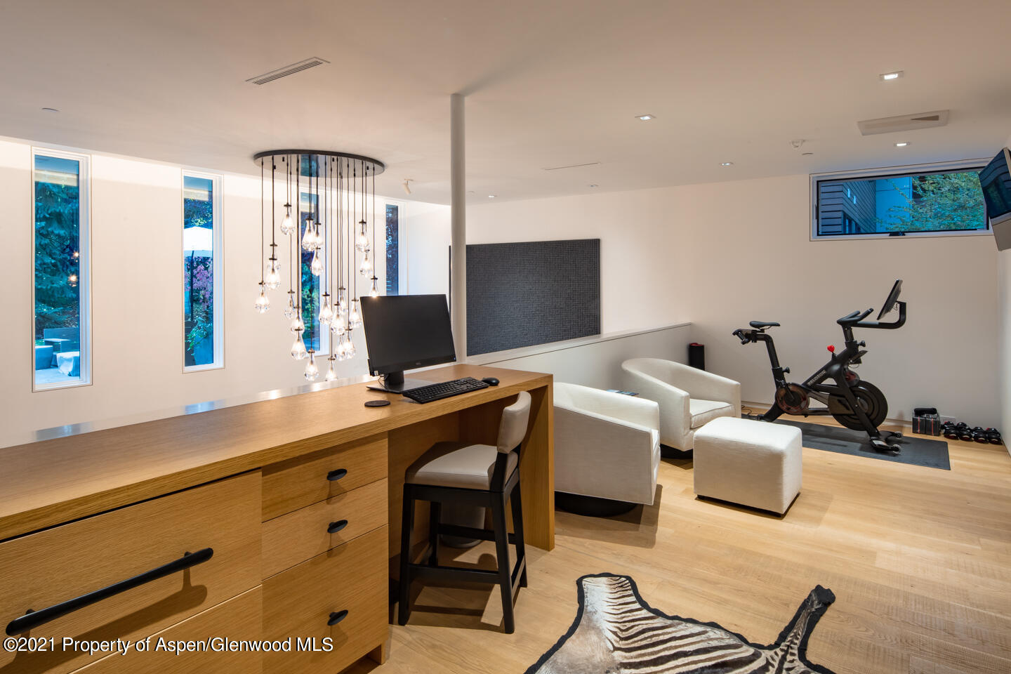 1635 Silver King Drive Aspen CO 81611