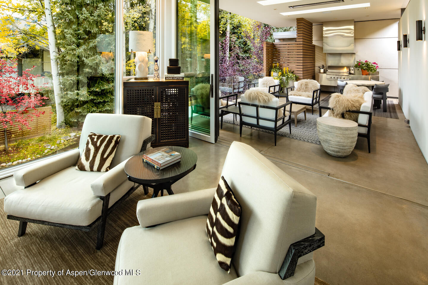 1635 Silver King Drive Aspen CO 81611