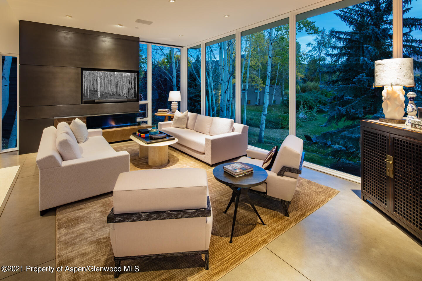 1635 Silver King Drive Aspen CO 81611