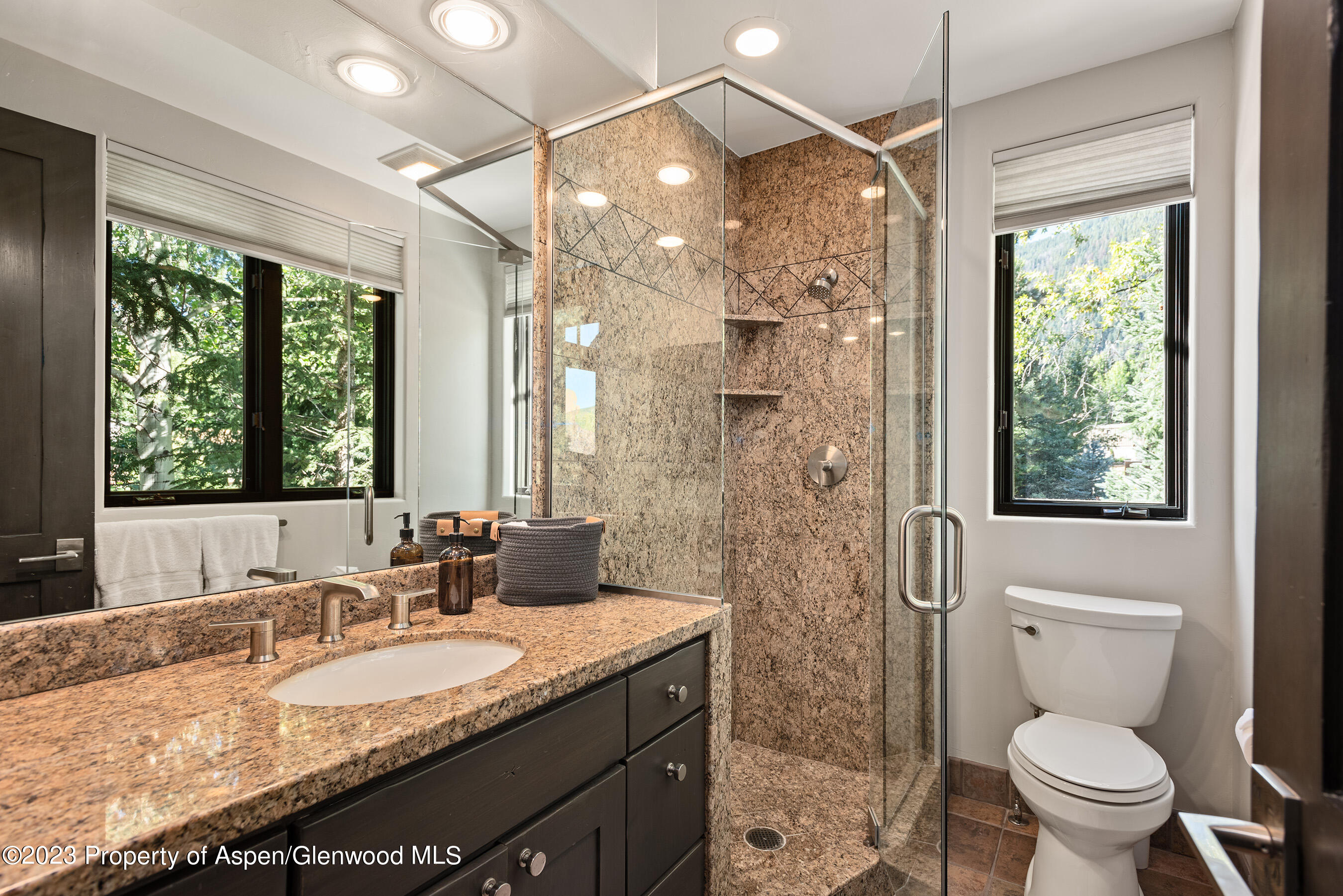 126 Park Avenue Aspen CO 81611