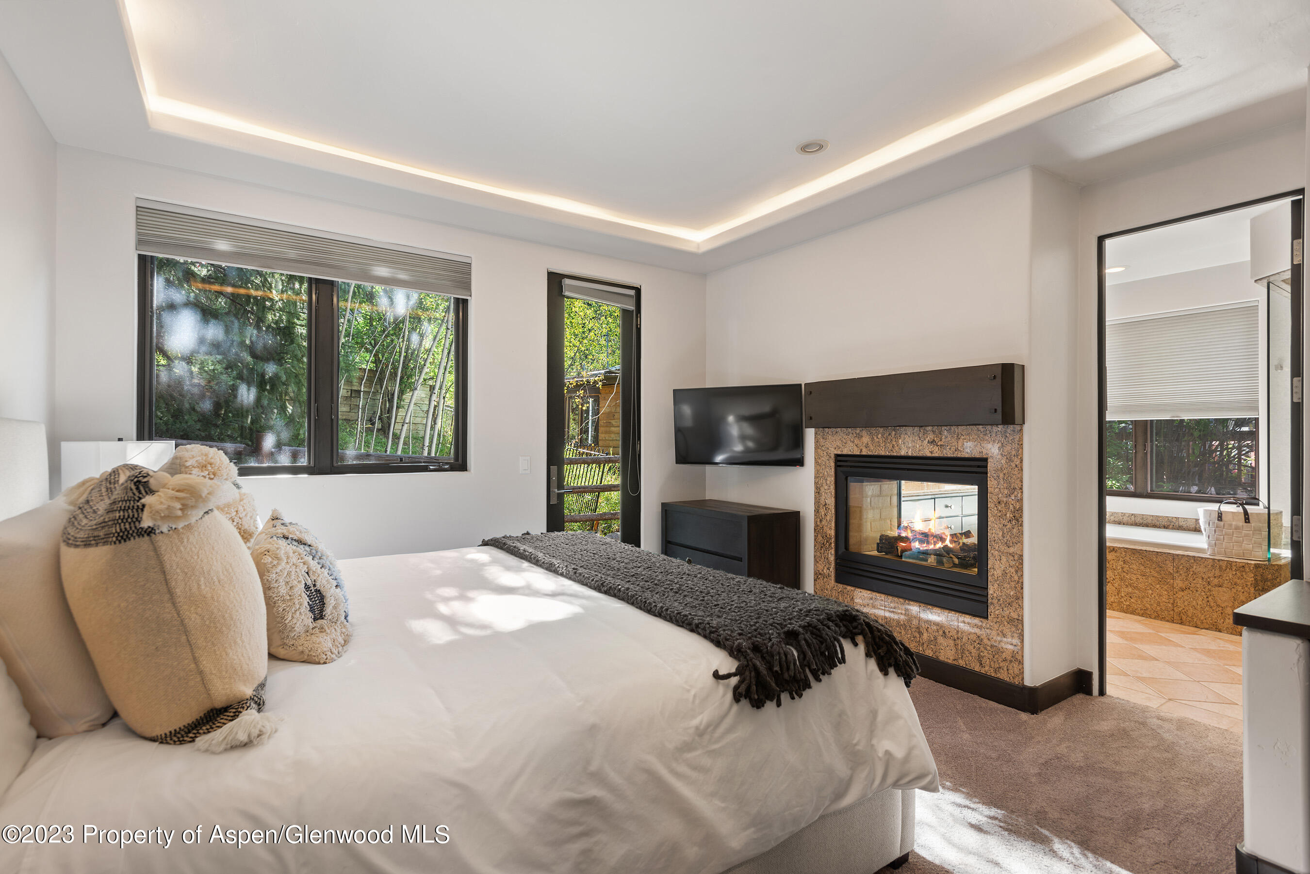 126 Park Avenue Aspen CO 81611