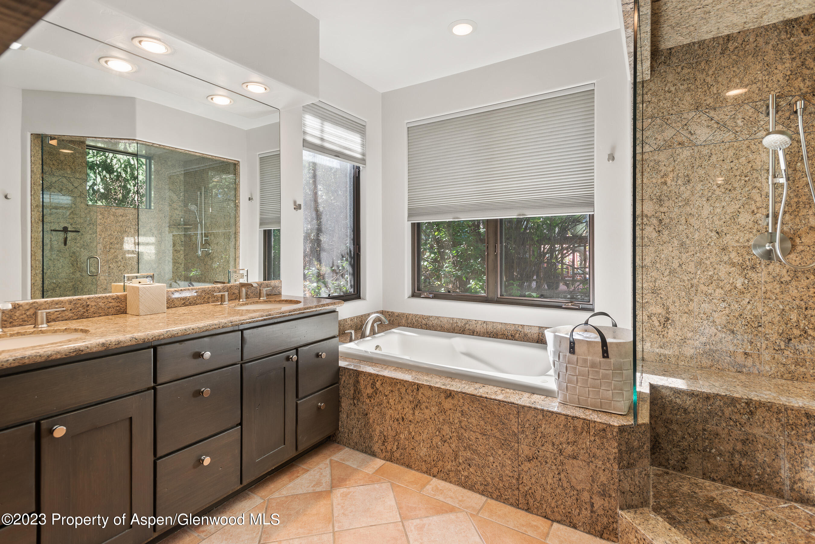 126 Park Avenue Aspen CO 81611