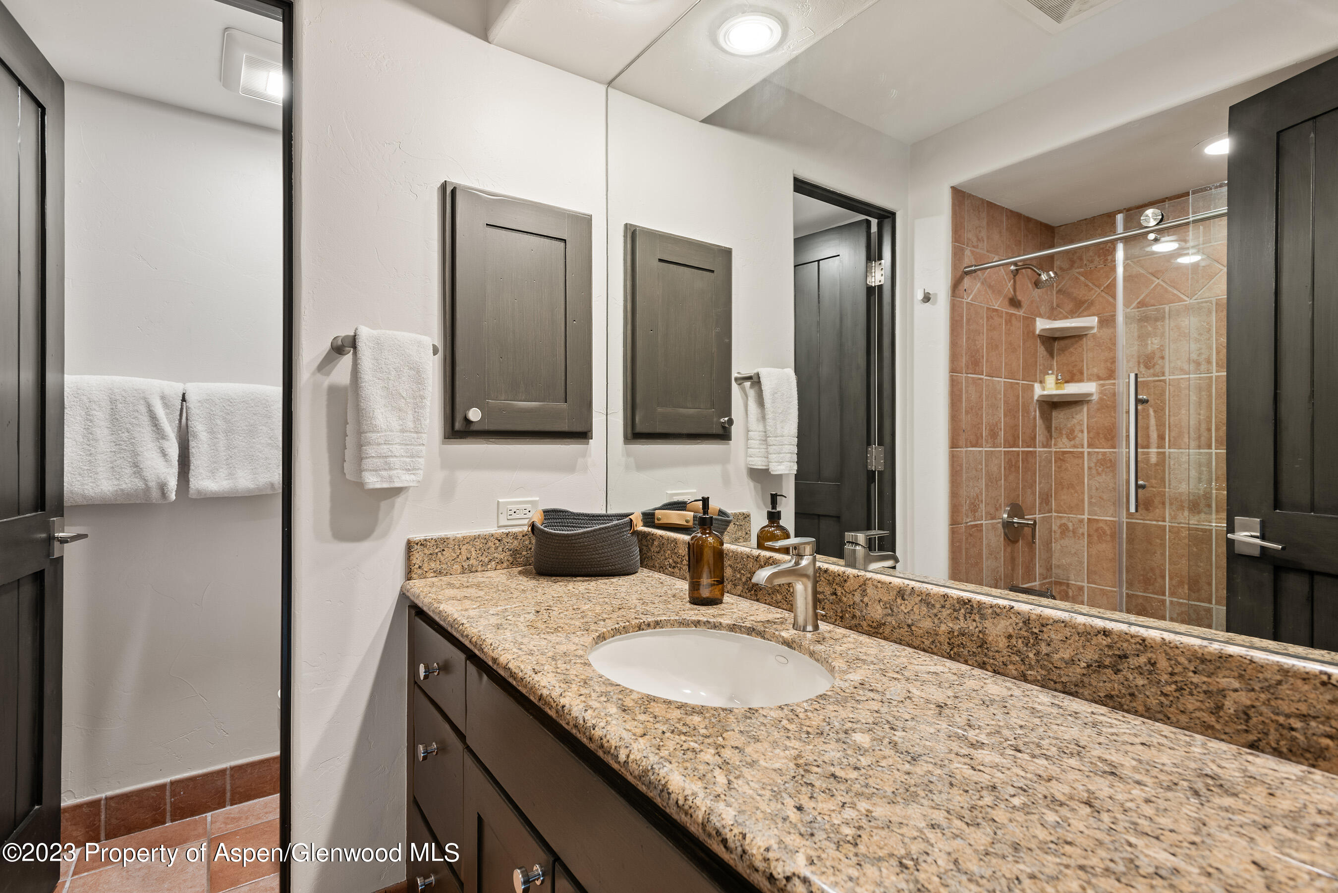 126 Park Avenue Aspen CO 81611