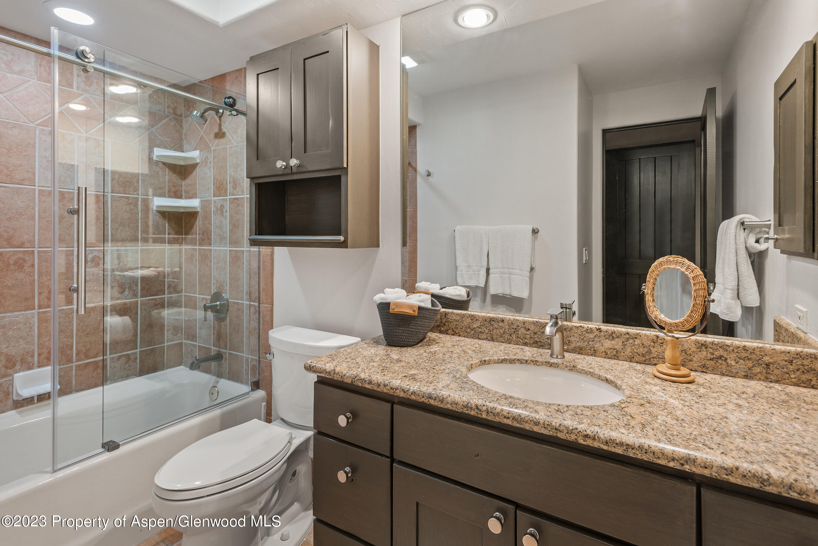 126 Park Avenue Aspen CO 81611