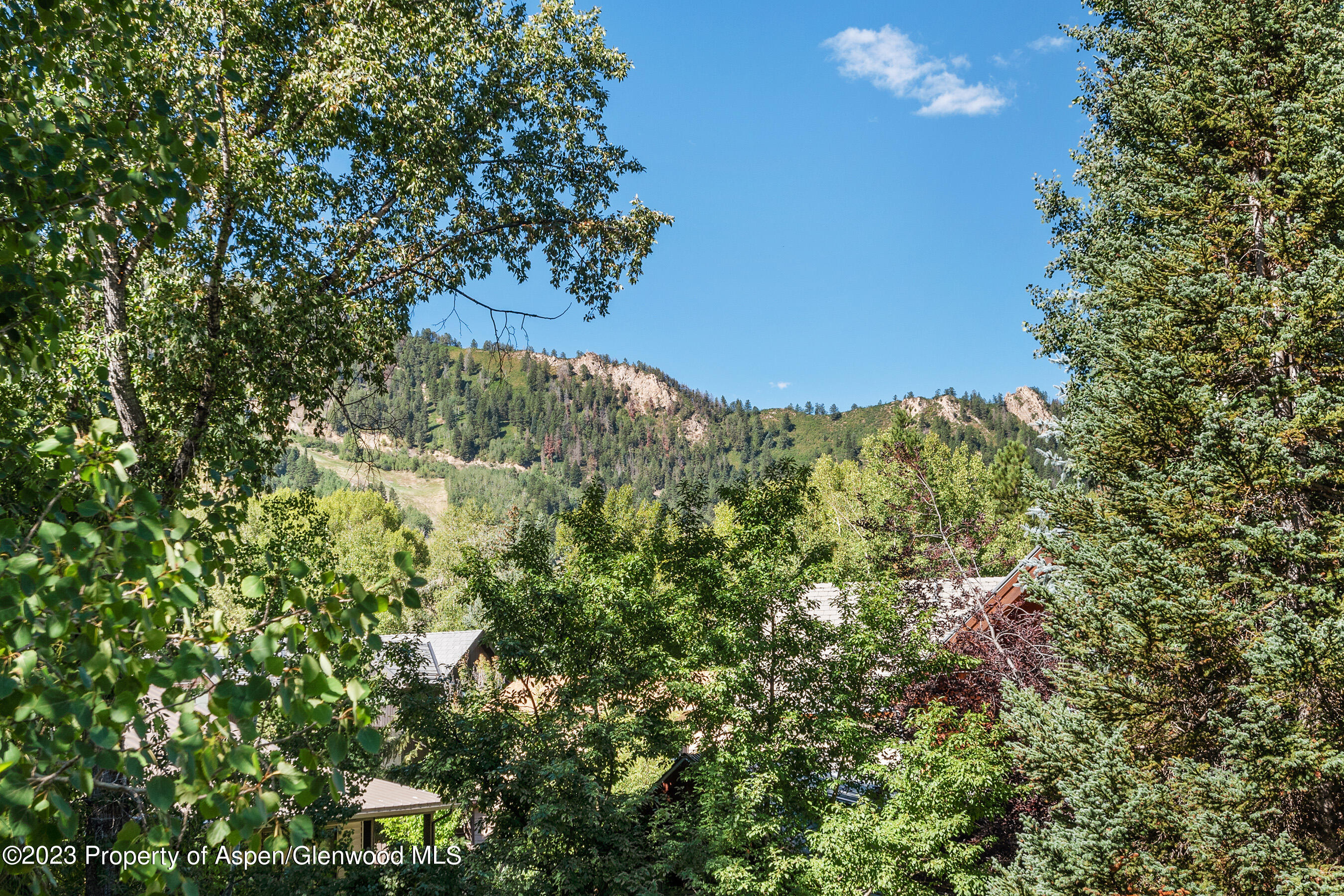126 Park Avenue Aspen CO 81611