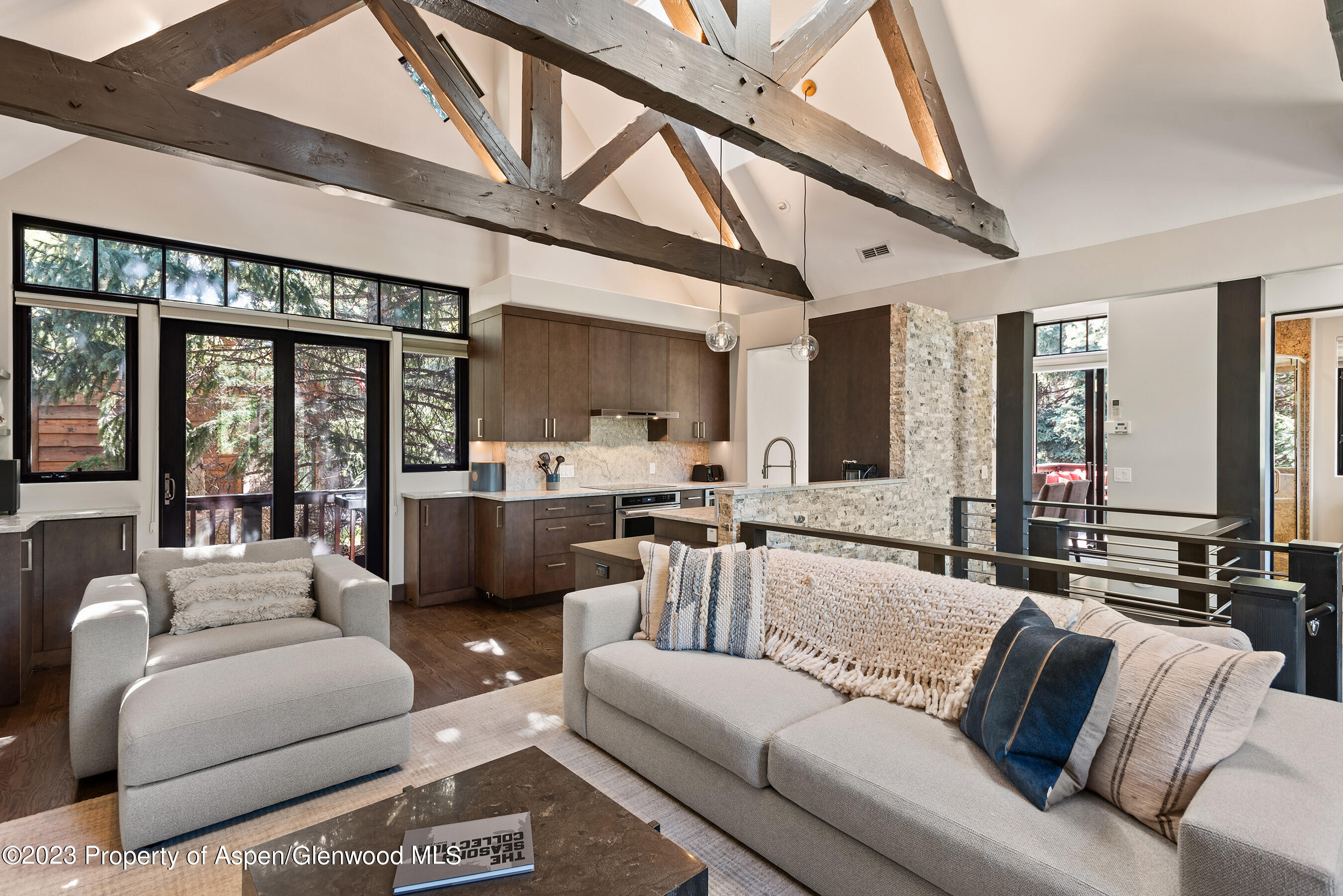 126 Park Avenue Aspen CO 81611