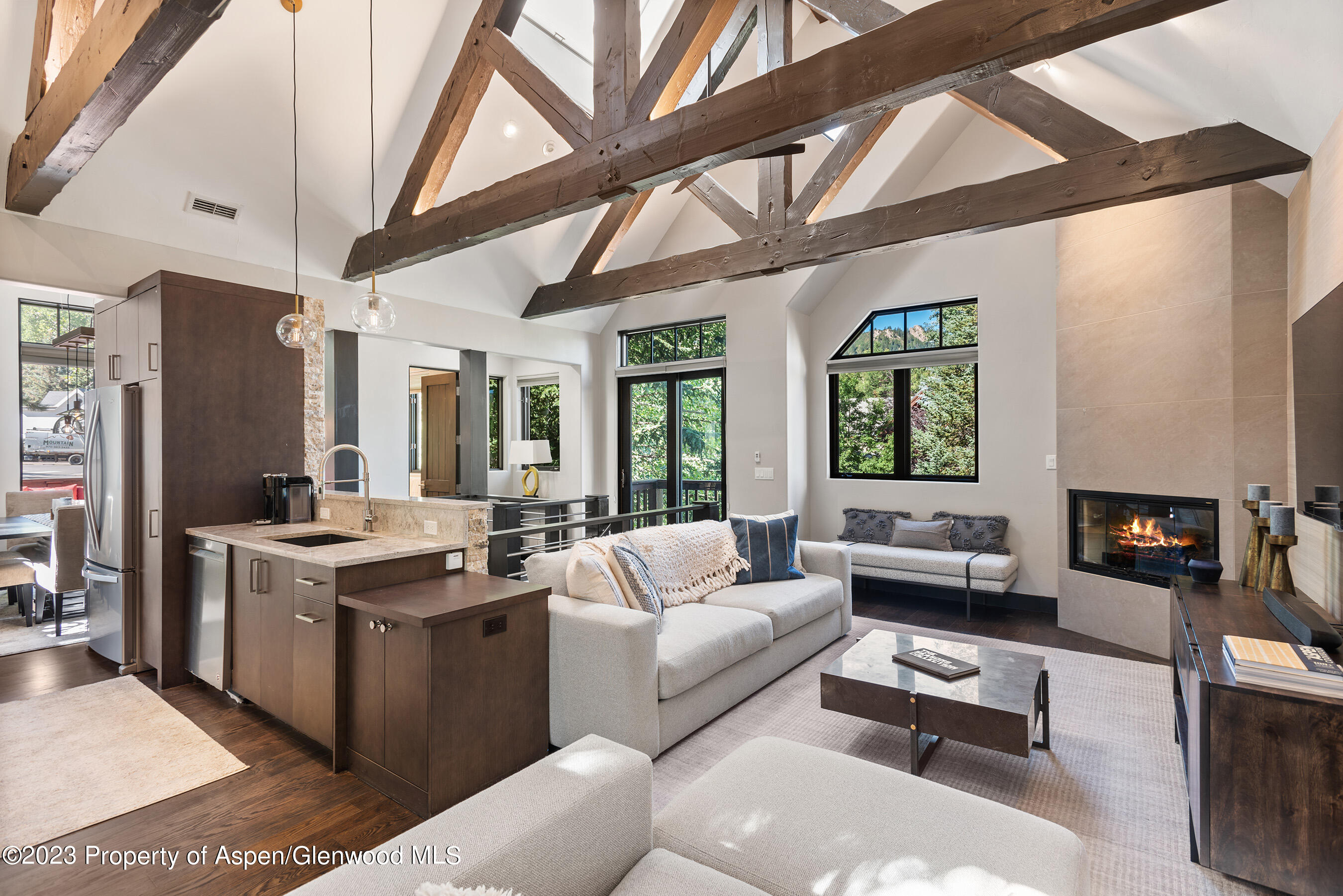 126 Park Avenue Aspen CO 81611