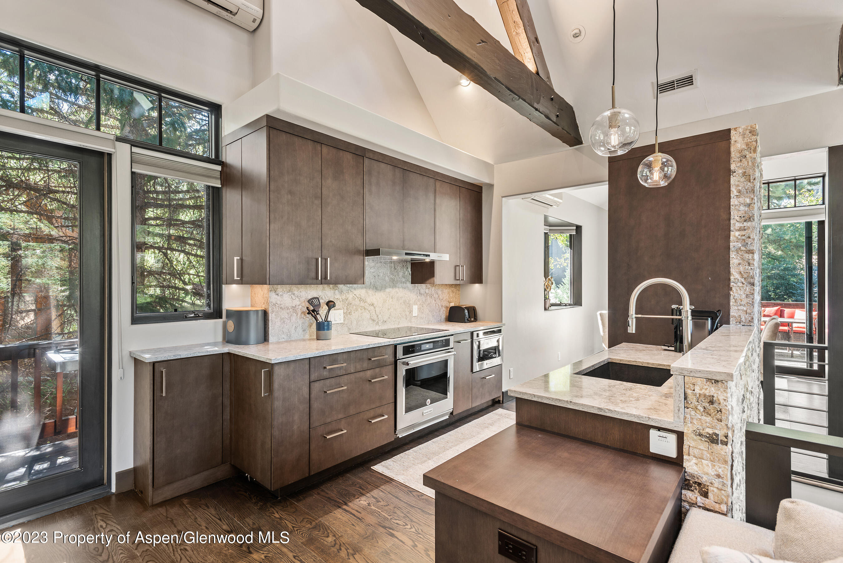 126 Park Avenue Aspen CO 81611