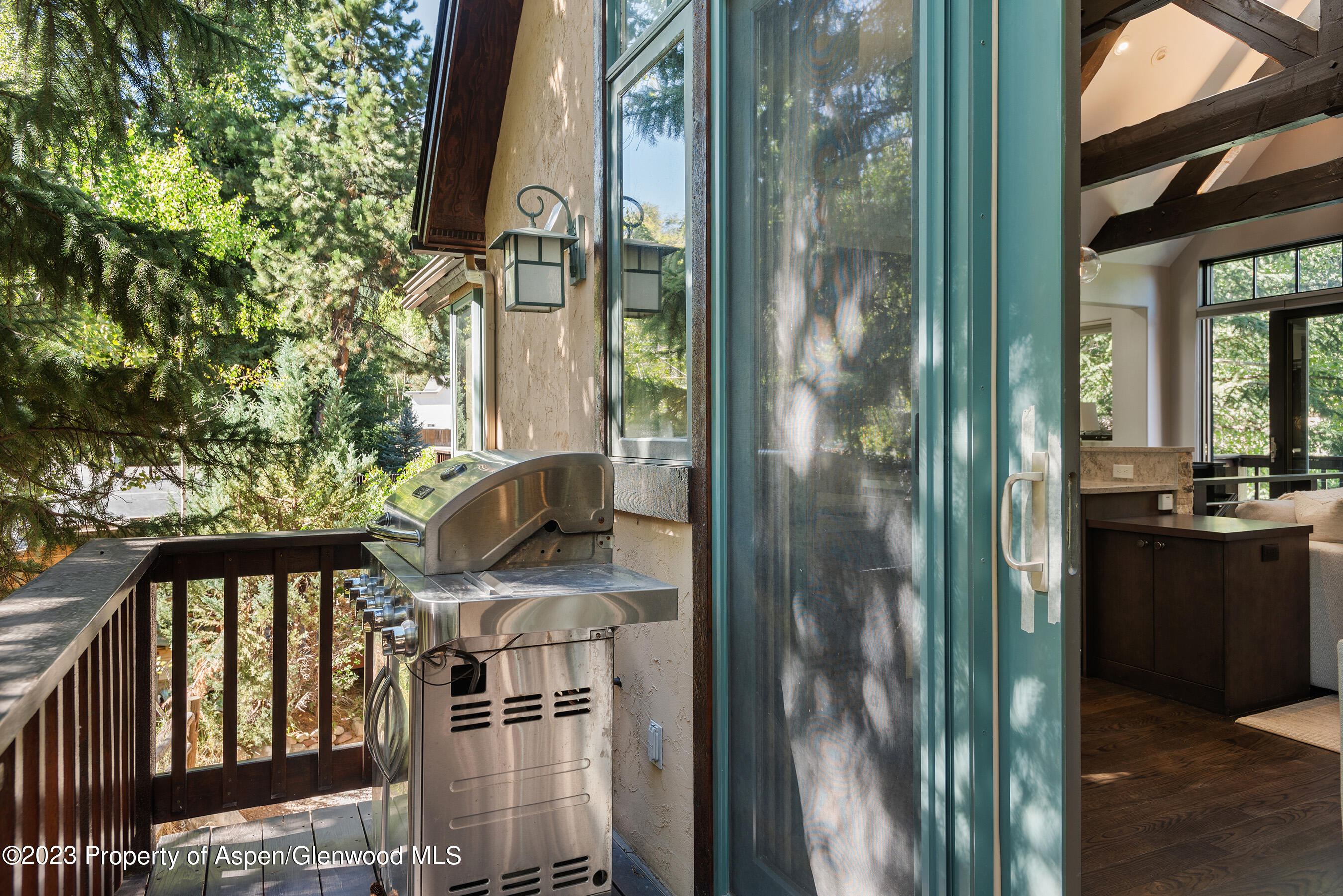 126 Park Avenue Aspen CO 81611