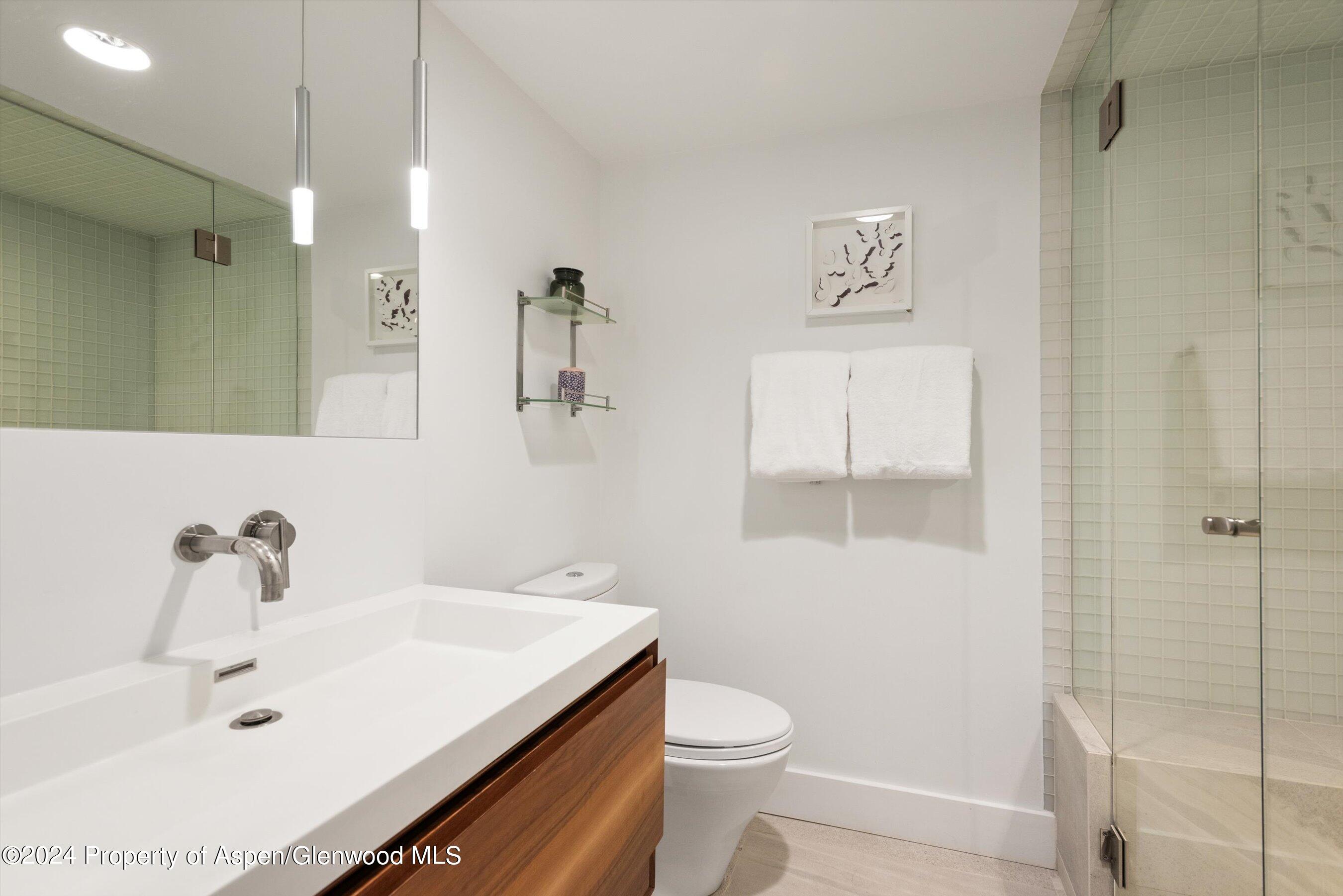 600 E Main Street Aspen CO 81611