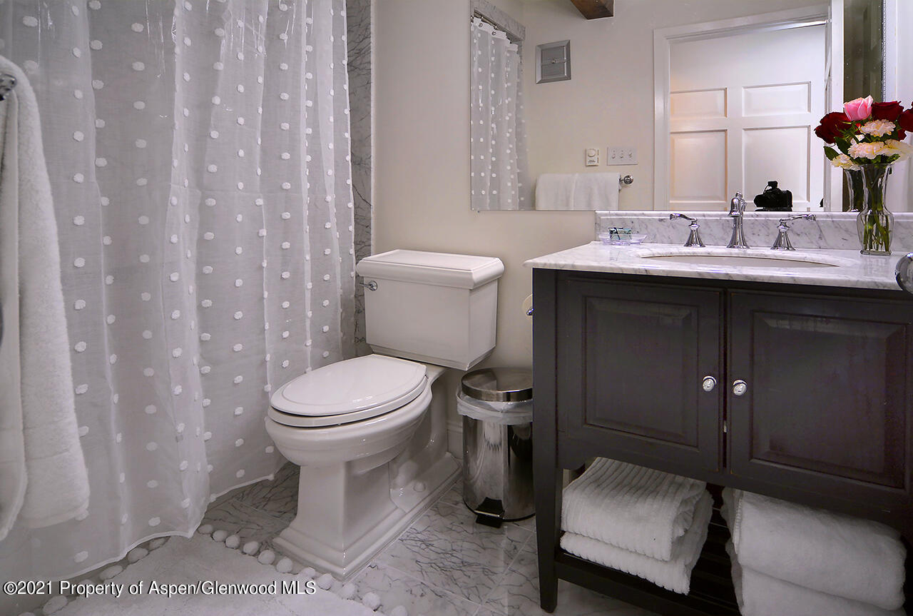 1024 E Cooper Aspen CO 81611