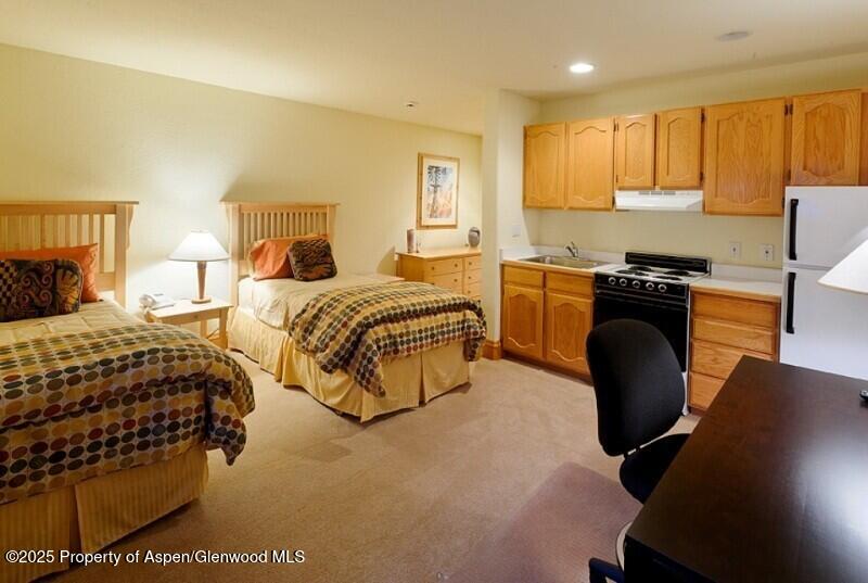 835 E Cooper Avenue Aspen CO 81611