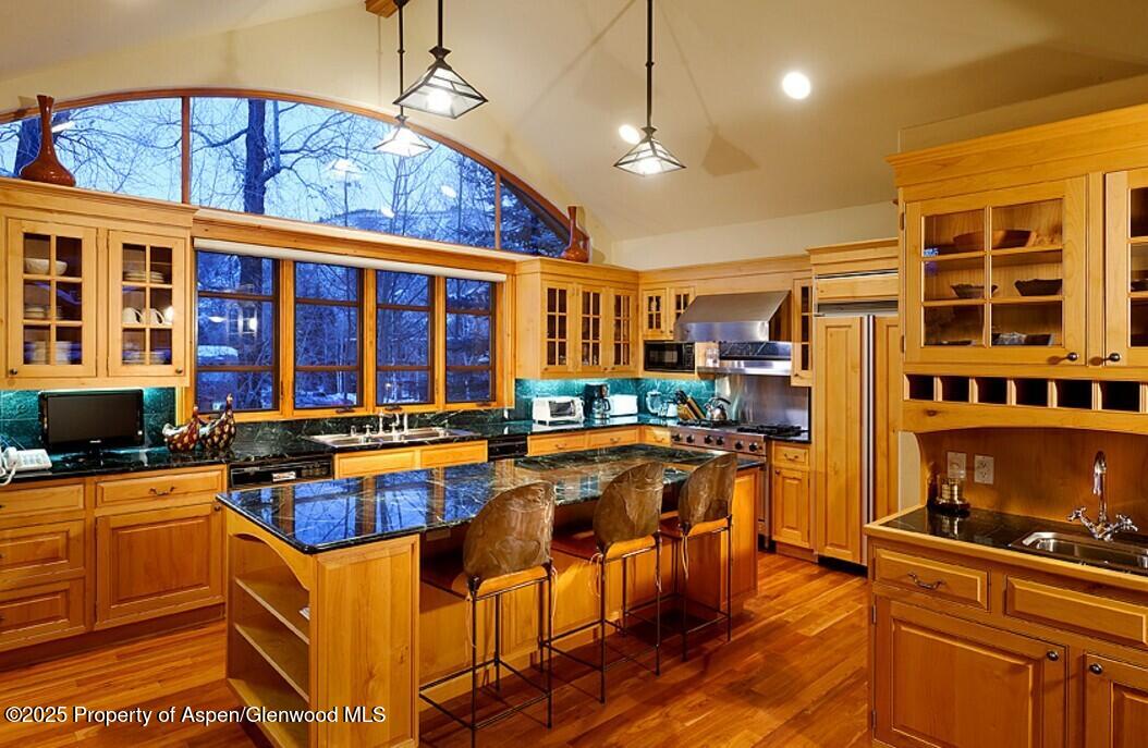 835 E Cooper Avenue Aspen CO 81611